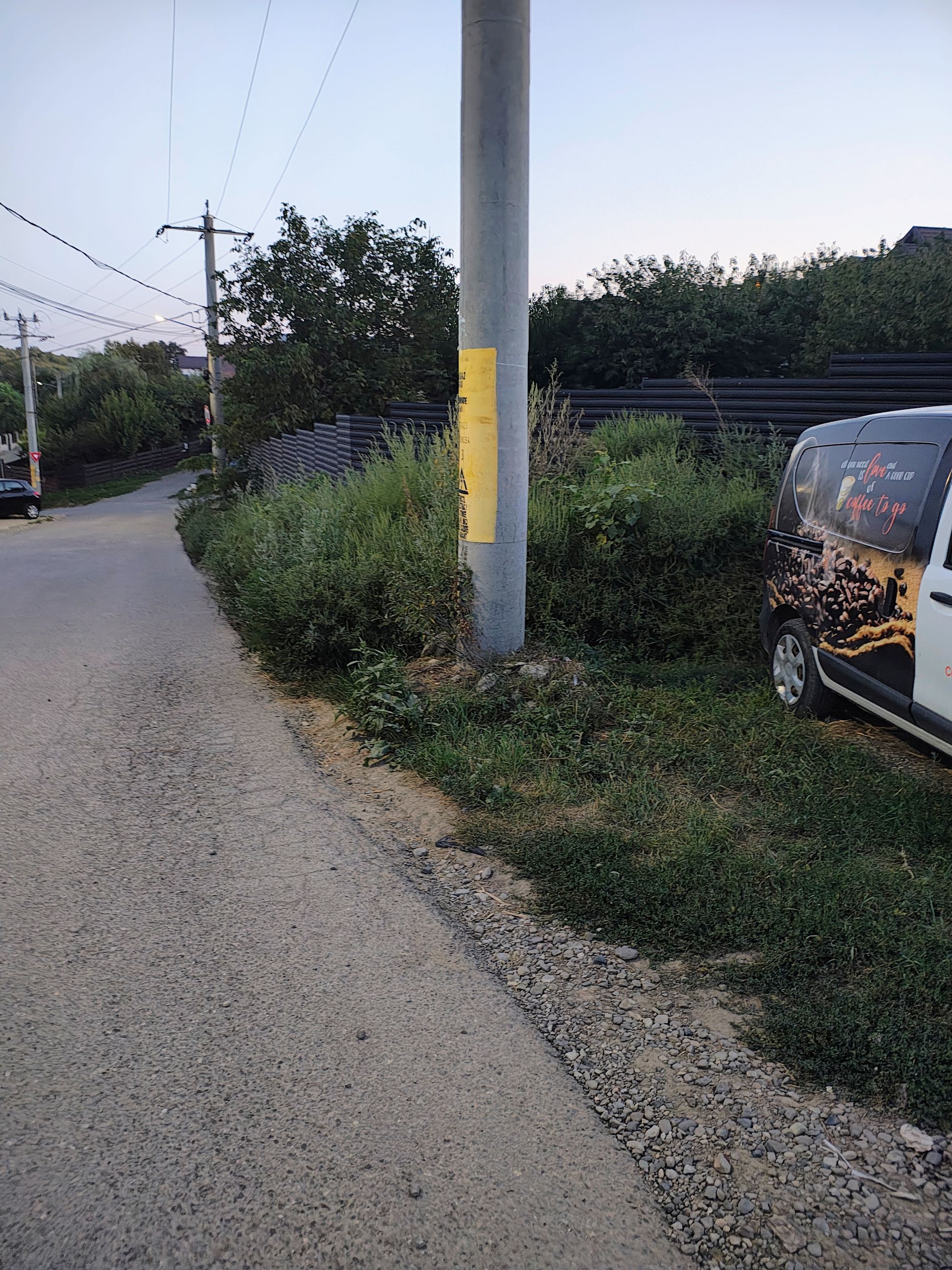 Ambrozie in Strada Răsăritului 52, Hlincea, Comuna Ciurea, Județul Iași - inbound4836923316680729065.jpg