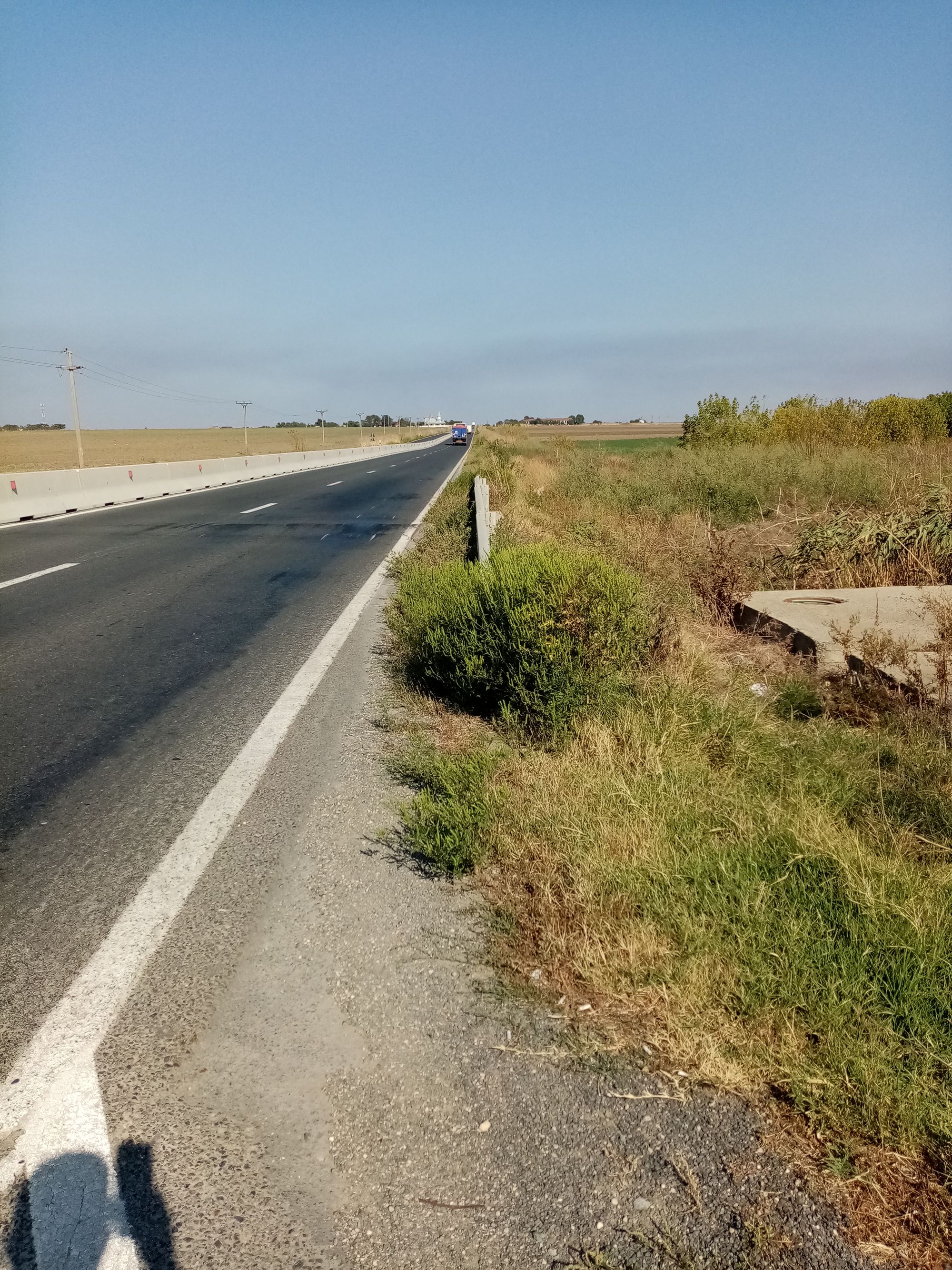 Ambrozie in Oituz, Comuna Lumina, Județul Constanța - IMG_20230906_100634.jpg