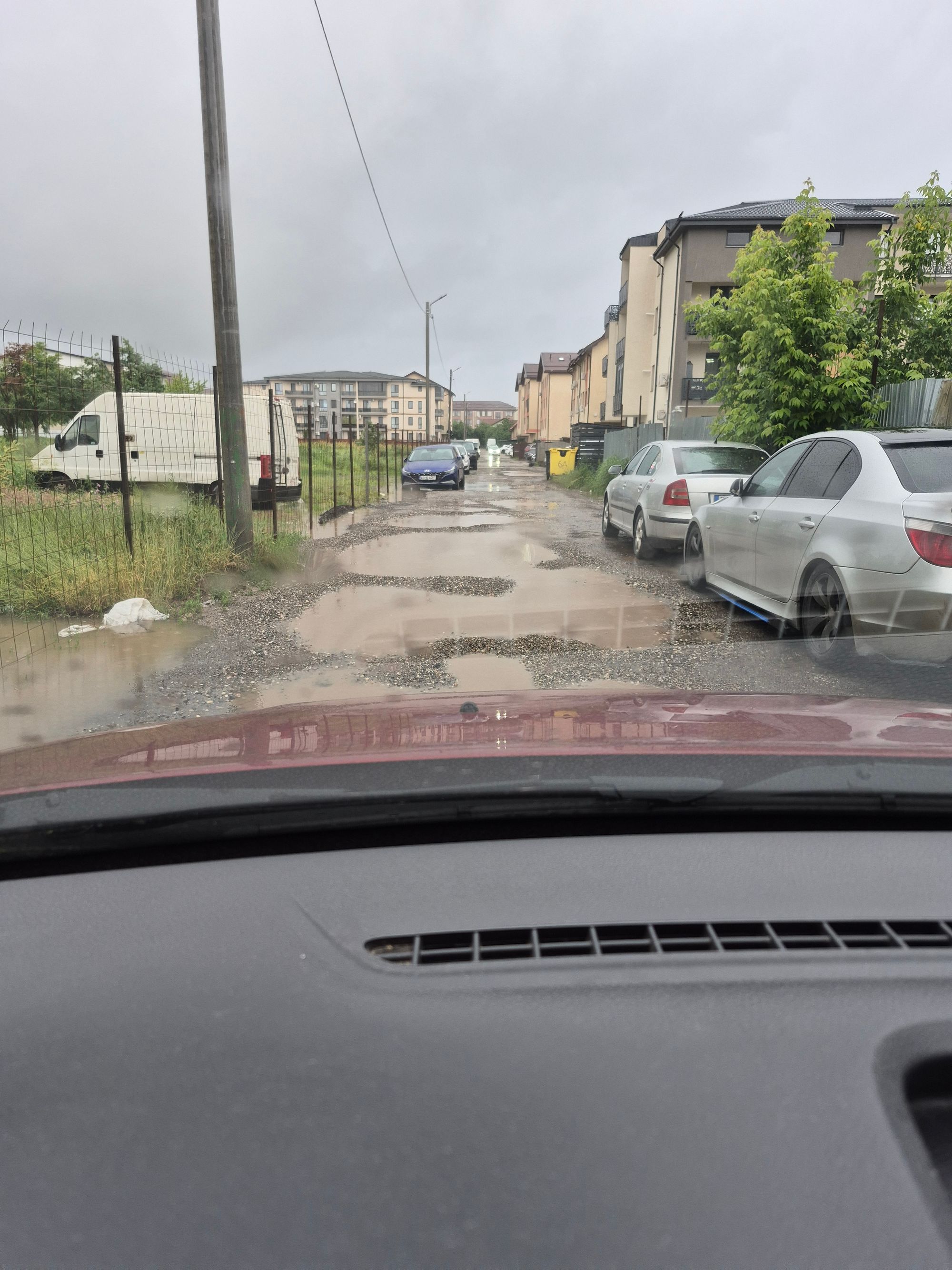 Ambrozie in Strada Cireșului 31, București, Comuna Dobroești, Județul Ilfov - inbound5673381838811886132.jpg