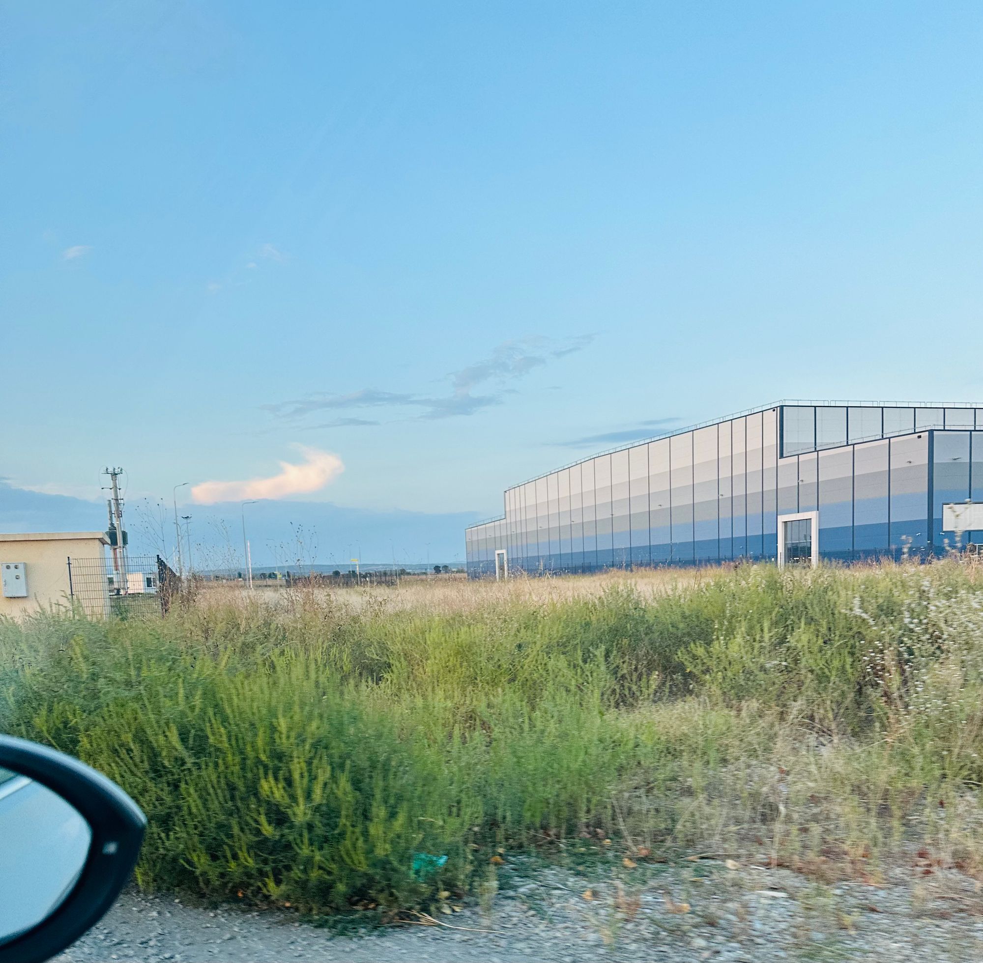 Ambrozie in Ploiești, Municipiu Ploieşti, Județul Prahova - IMG_8556.jpeg