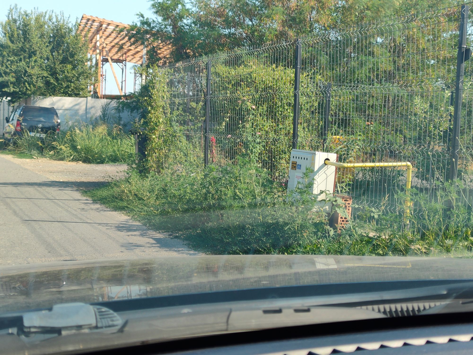 Ambrozie in Strada Căminului 52, Țegheș, Comuna Domnești, Județul Ilfov - 1000044295.jpg