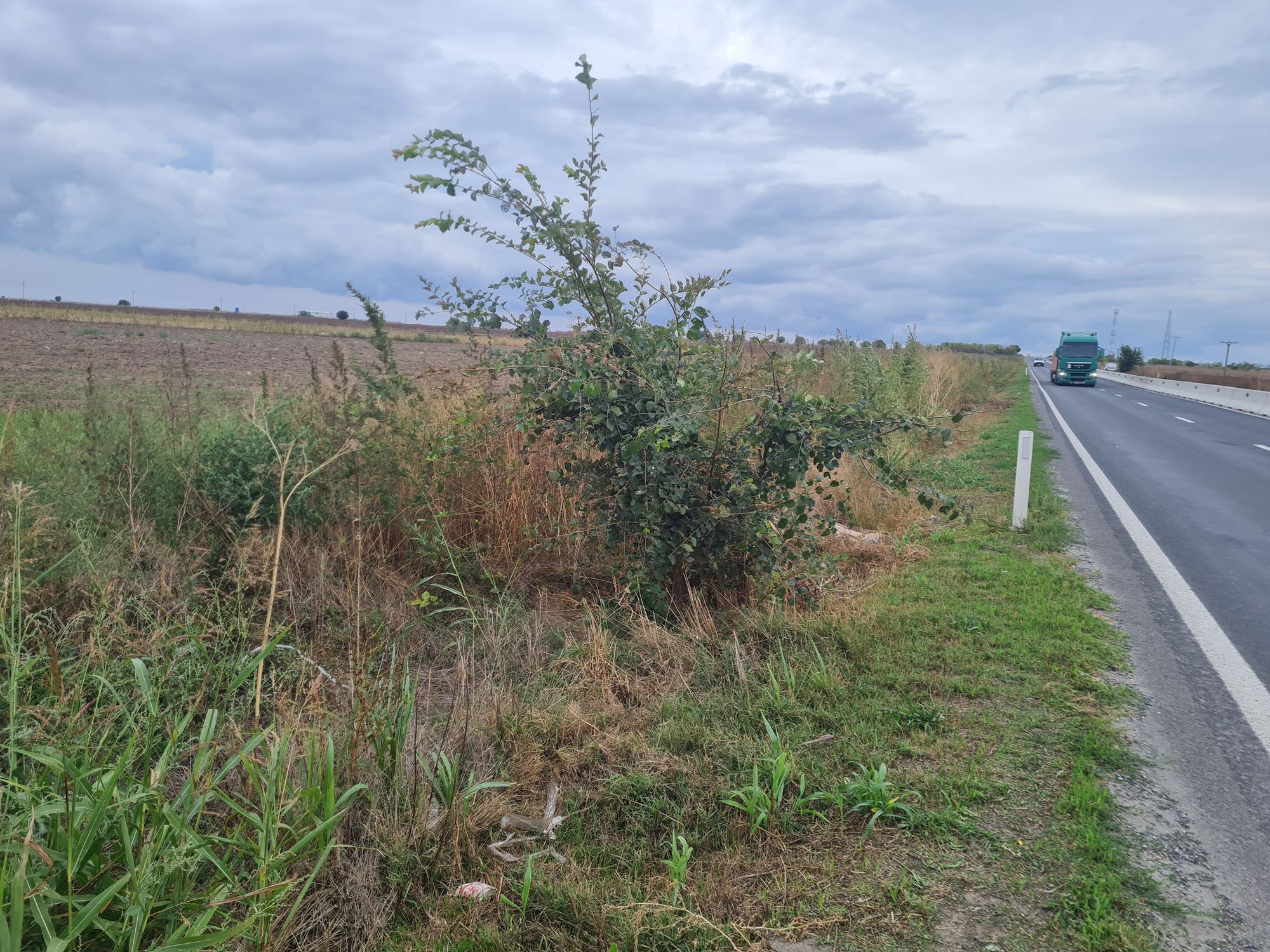 Ambrozie in Oituz, Comuna Lumina, Județul Constanța