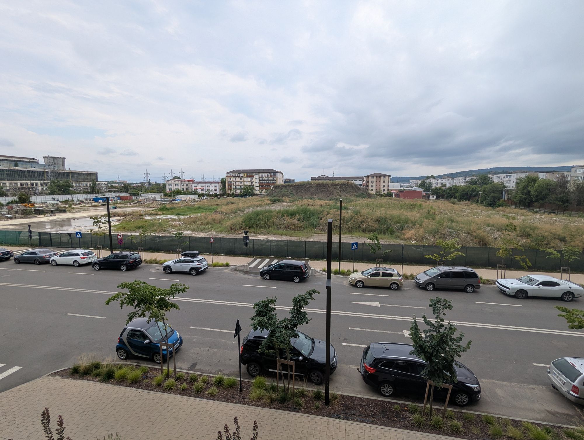 Ambrozie in Strada Atelierului 12, Iași, Municipiu Iaşi, Județul Iași - PXL_20250729_105711849.jpg