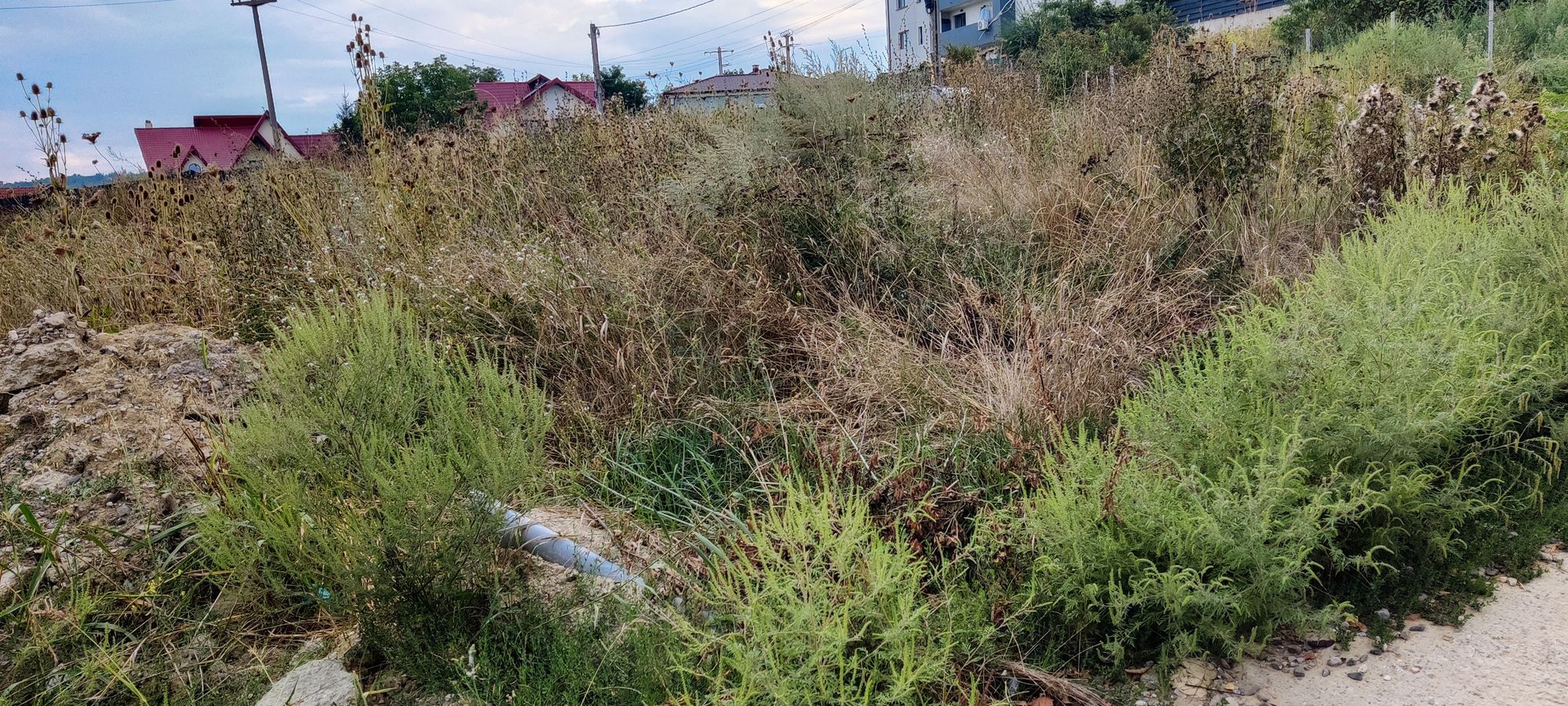 Ambrozie in Strada Sfântul Ilie 78, Vișan, Comuna Bârnova, Județul Iași