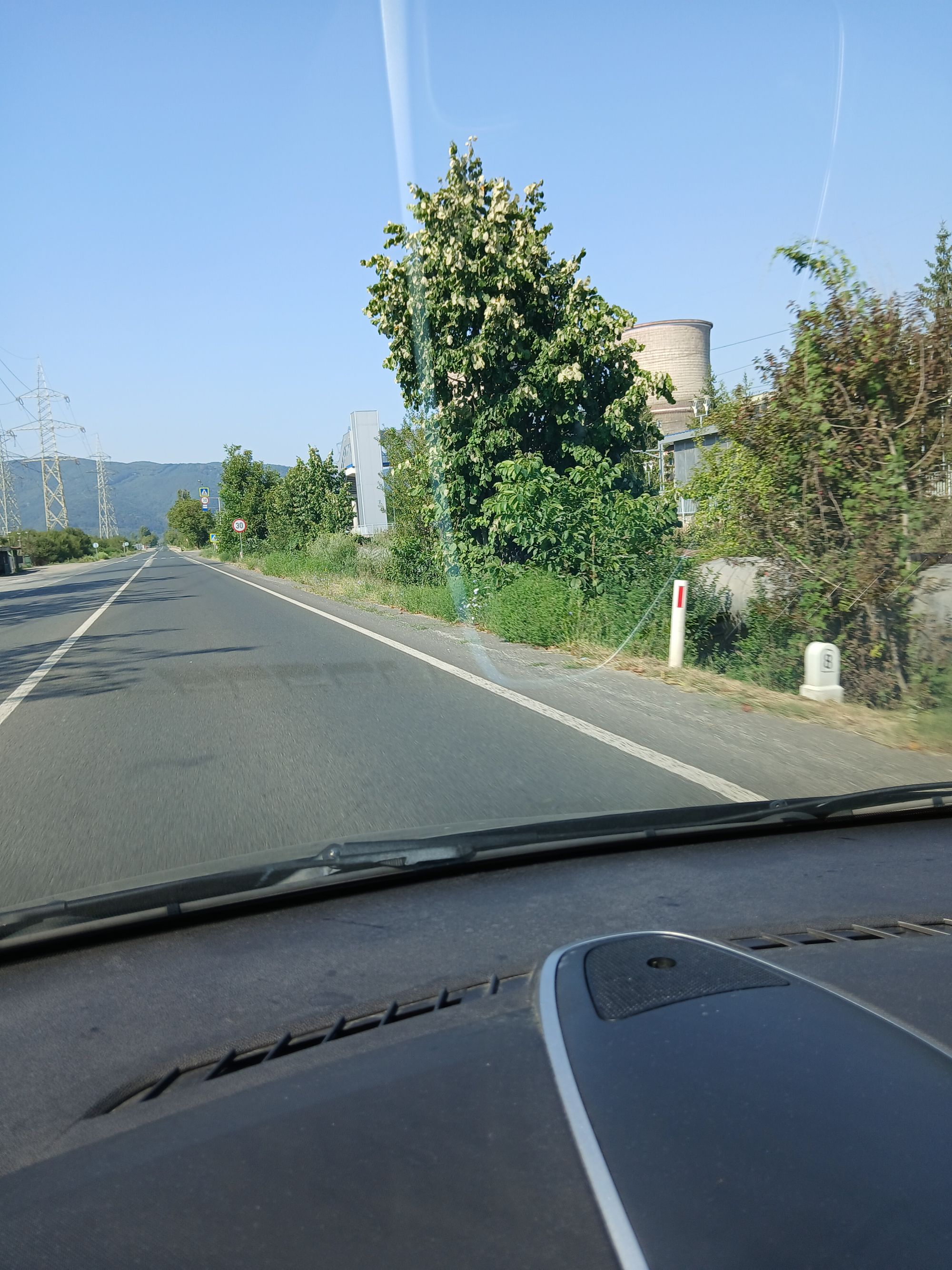 Ambrozie in Mintia, Comuna Vețel, Județul Hunedoara - 20250817_102149.jpg
