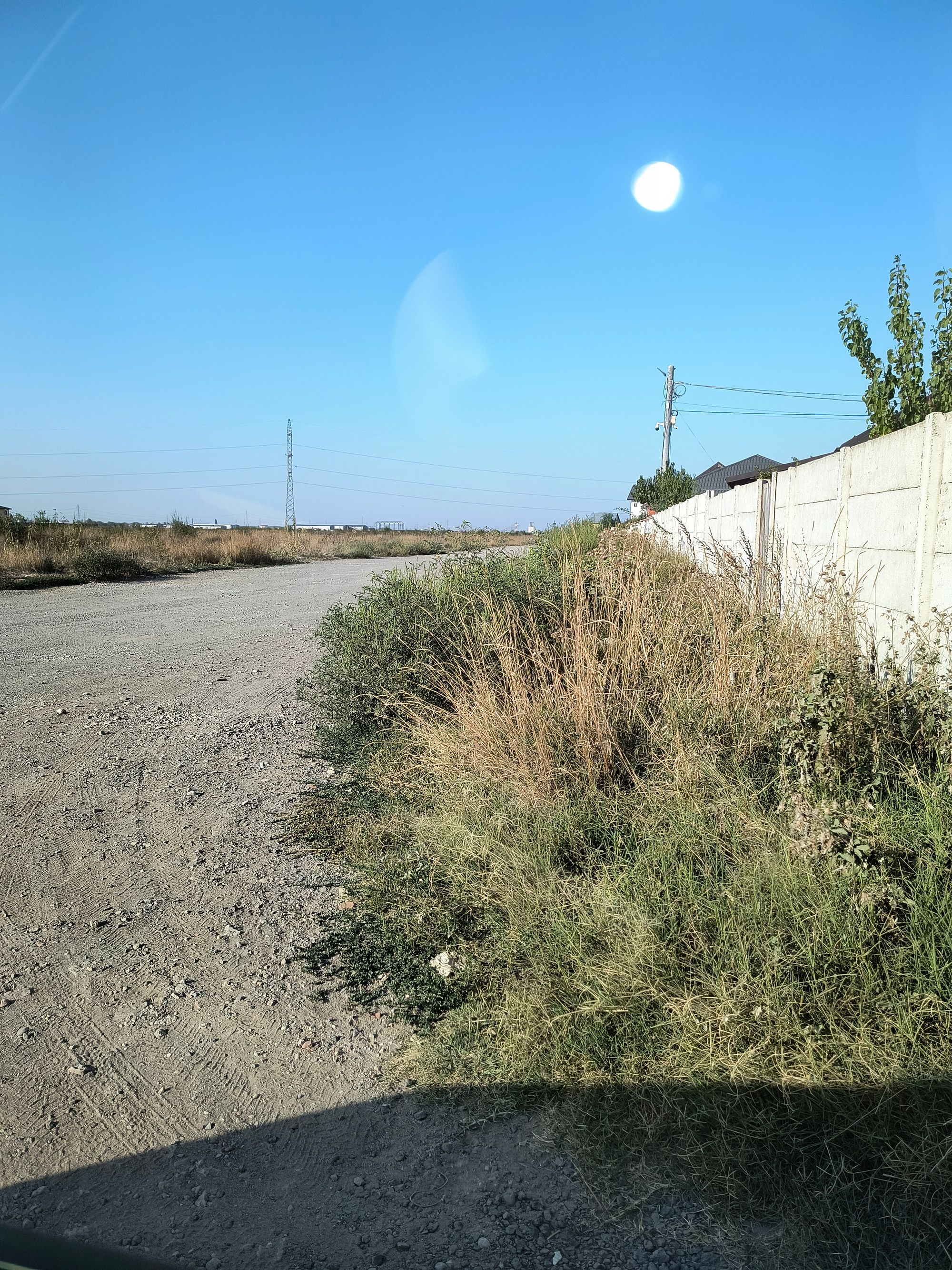 Ambrozie in Strada Lămâiței 67, Pantelimon, Oraş Pantelimon, Județul Ilfov - 1000026563.jpg