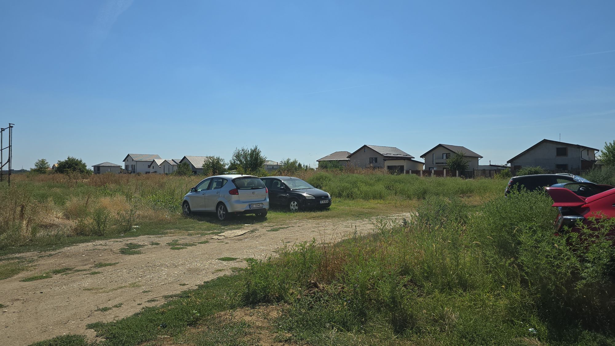 Ambrozie in Strada Crișul Repede 62, Bragadiru, Oraş Bragadiru, Județul Ilfov - IMG-20250905-WA0001.jpeg