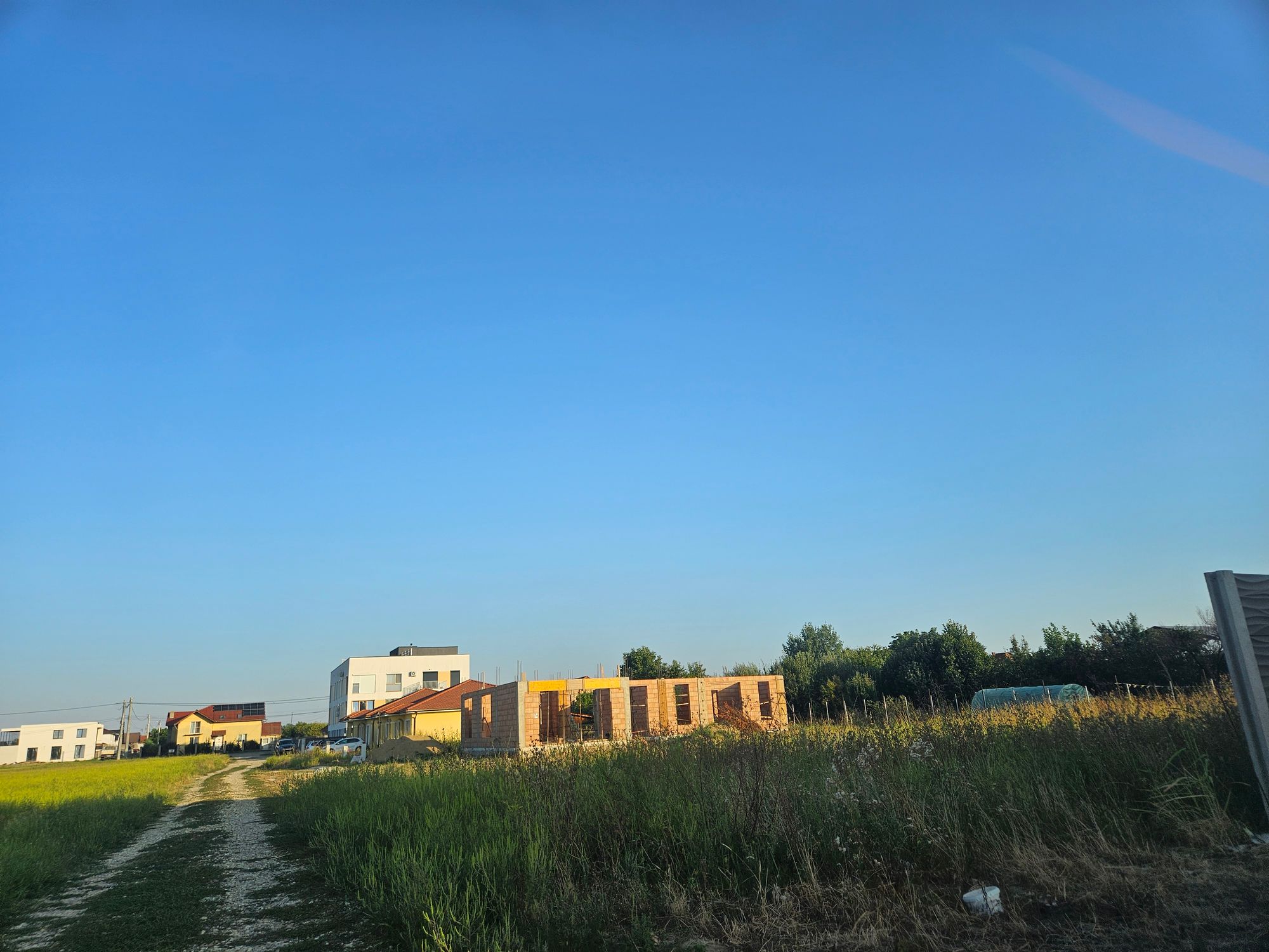 Ambrozie in Strada Panselelor 19, Lugoj, Municipiu Lugoj, Județul Timiș