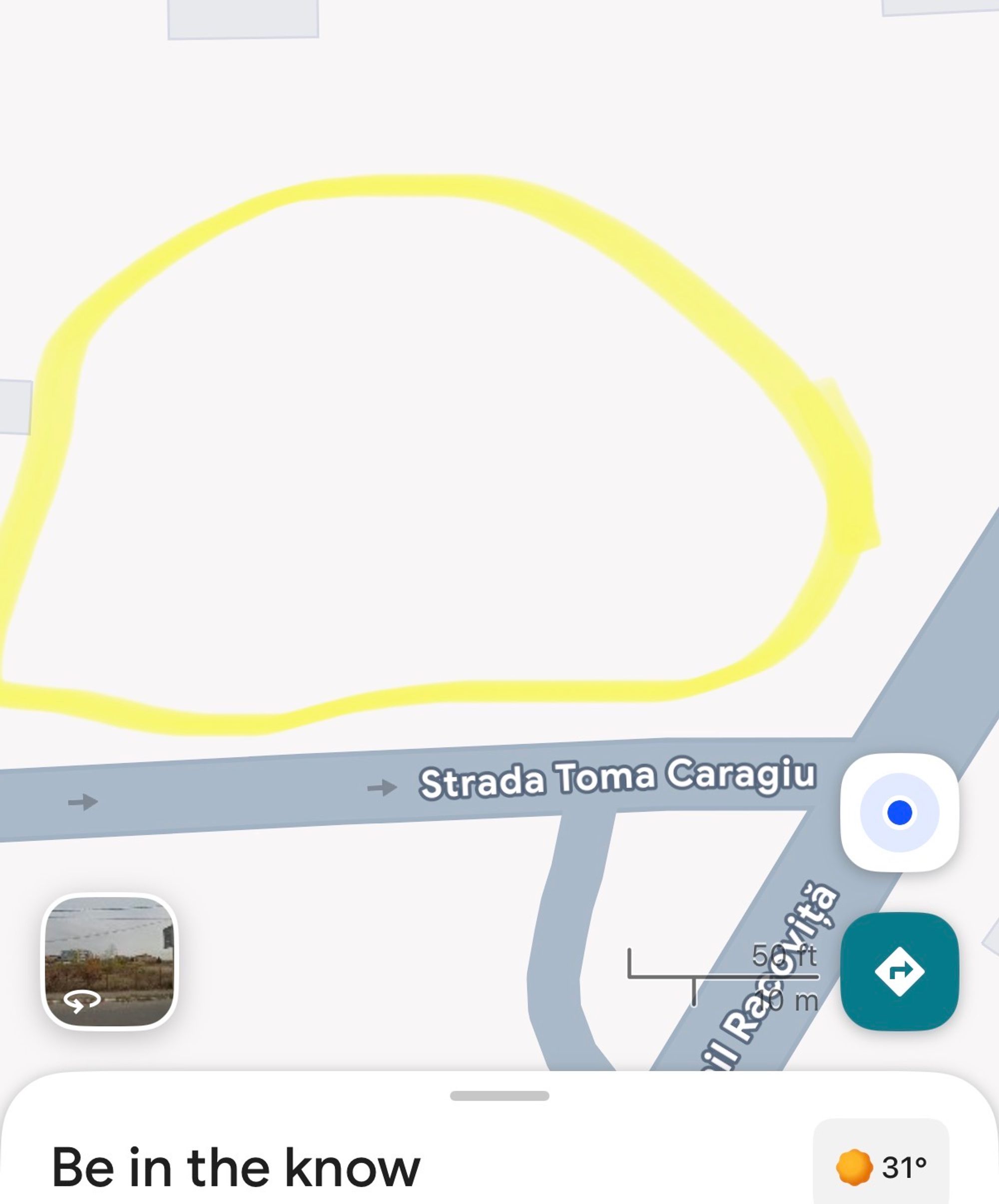 Ambrozie in Strada George Bacovia 22, Voluntari, Oraș Voluntari, Județul Ilfov