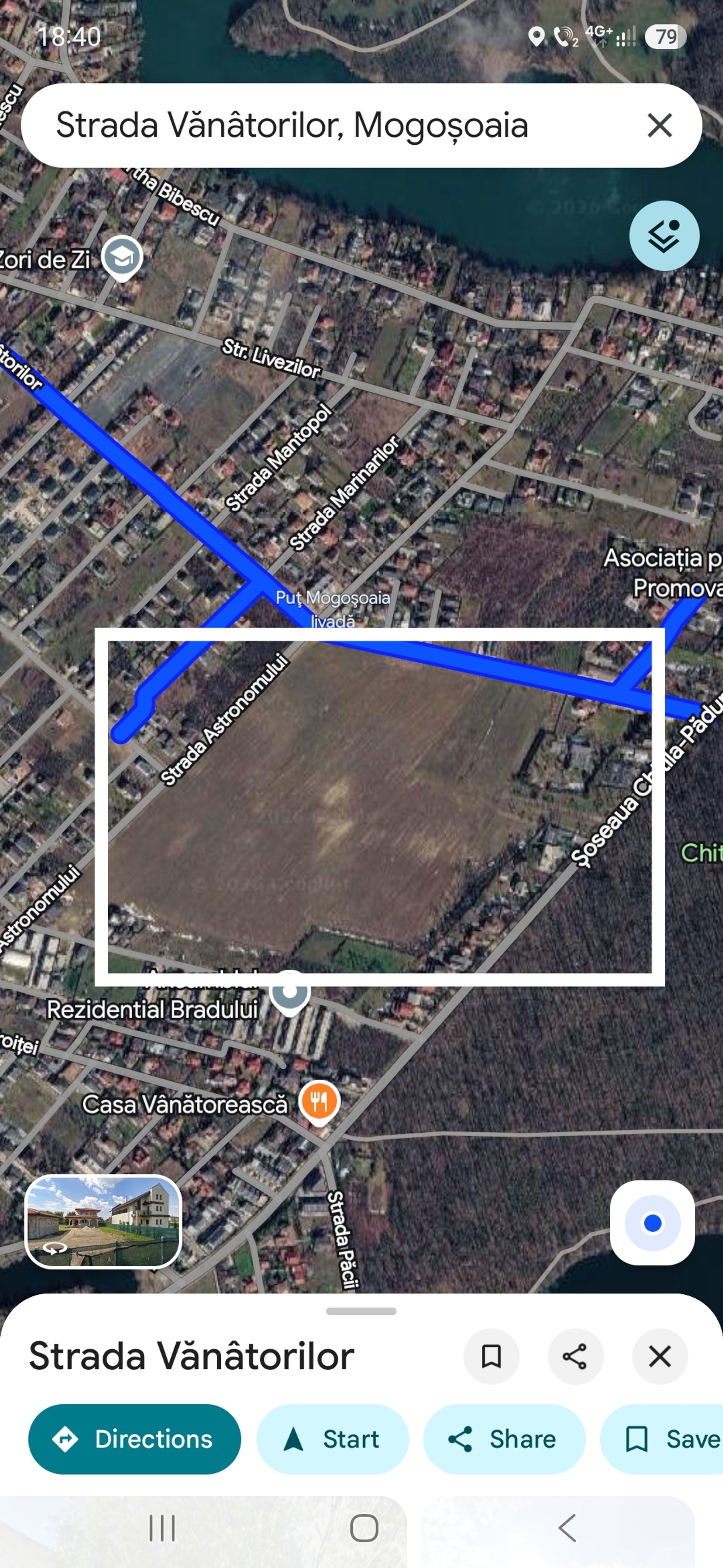 Ambrozie in Strada Vănâtorilor 25, Mogoșoaia, Comuna Mogoșoaia, Județul Ilfov
