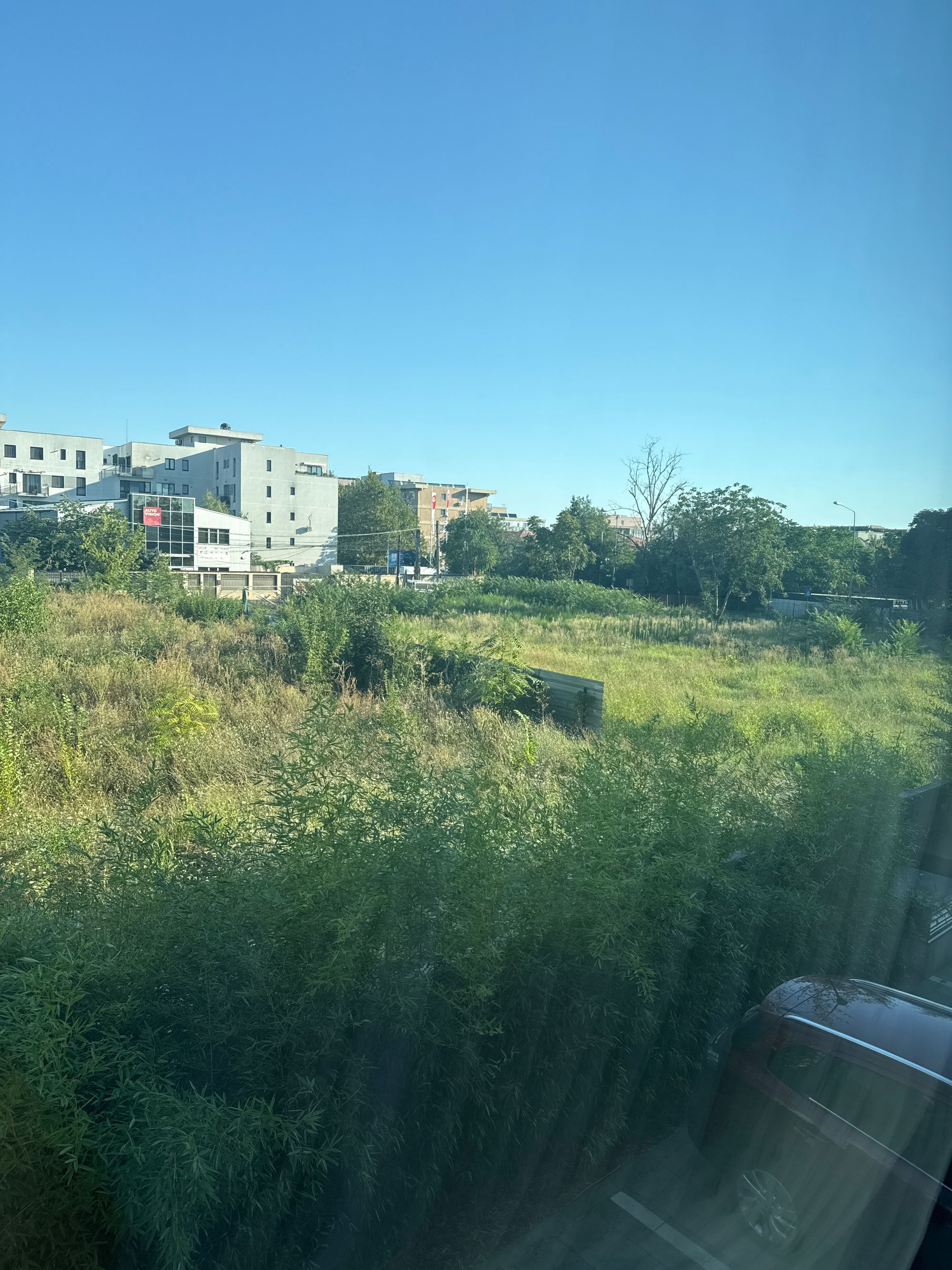 Ambrozie in Intrarea Străulești 53, București, Municipiul București