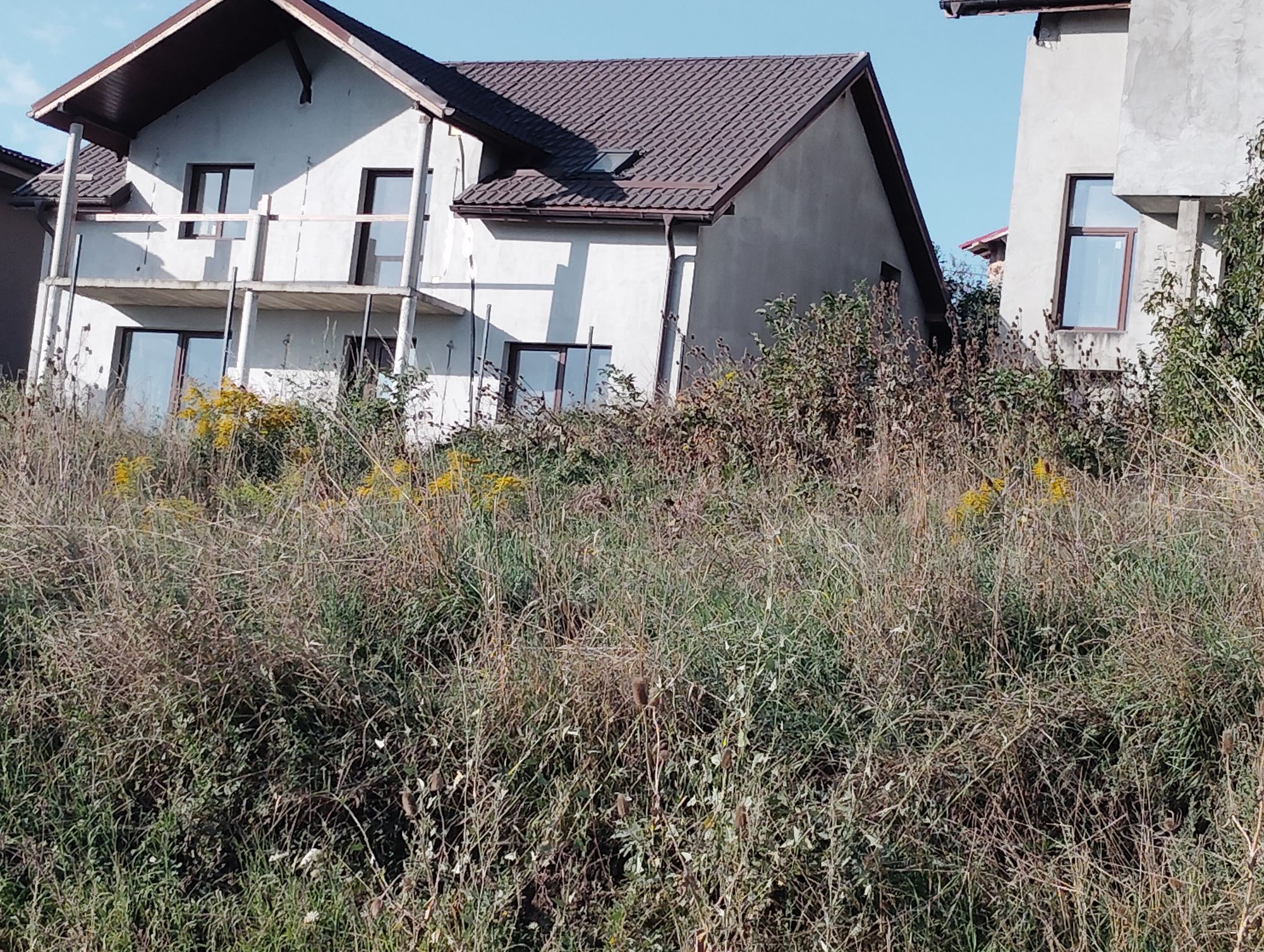 Ambrozie in Str. Tineretului 27, Câmpenești, Comuna Apahida, Județul Cluj - inbound8200331498179533812.jpg
