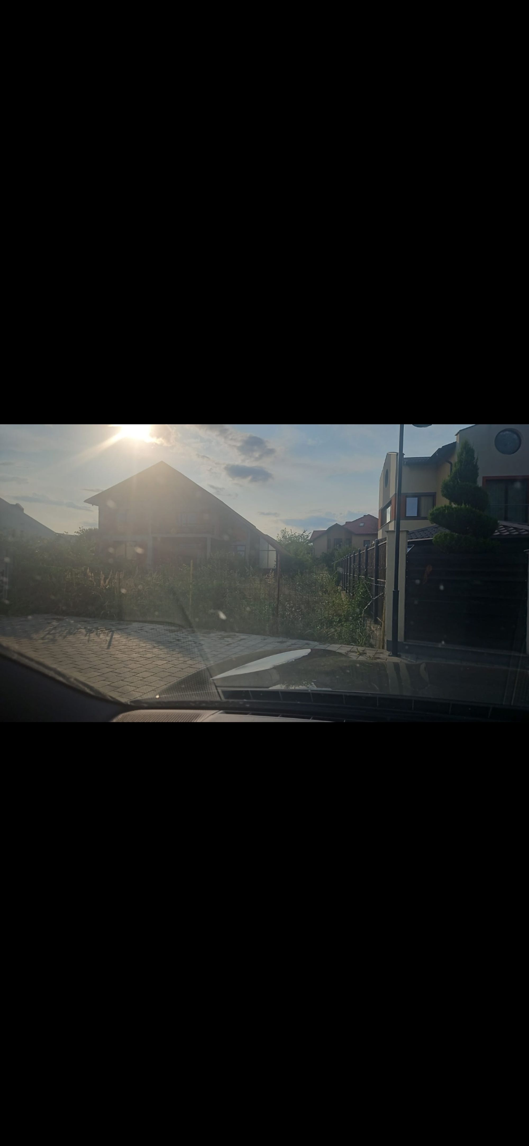Ambrozie in Aleea Castanilor 74, Blejoi, Comuna Blejoi, Județul Prahova - Screenshot_20250807_190145_WhatsApp.jpg