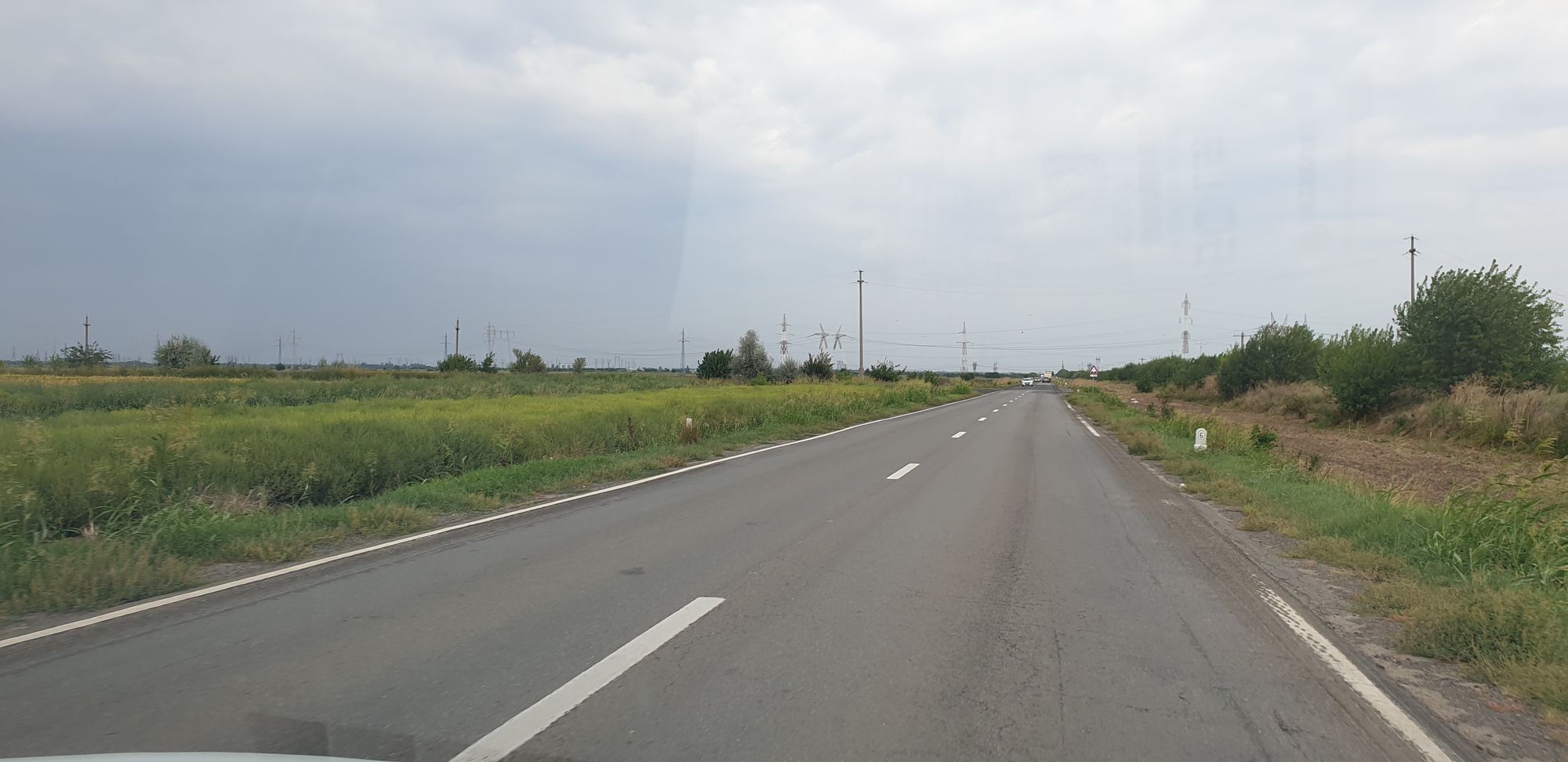 Ambrozie in Brăila, Județul Brăila - 20240827_154953.jpg