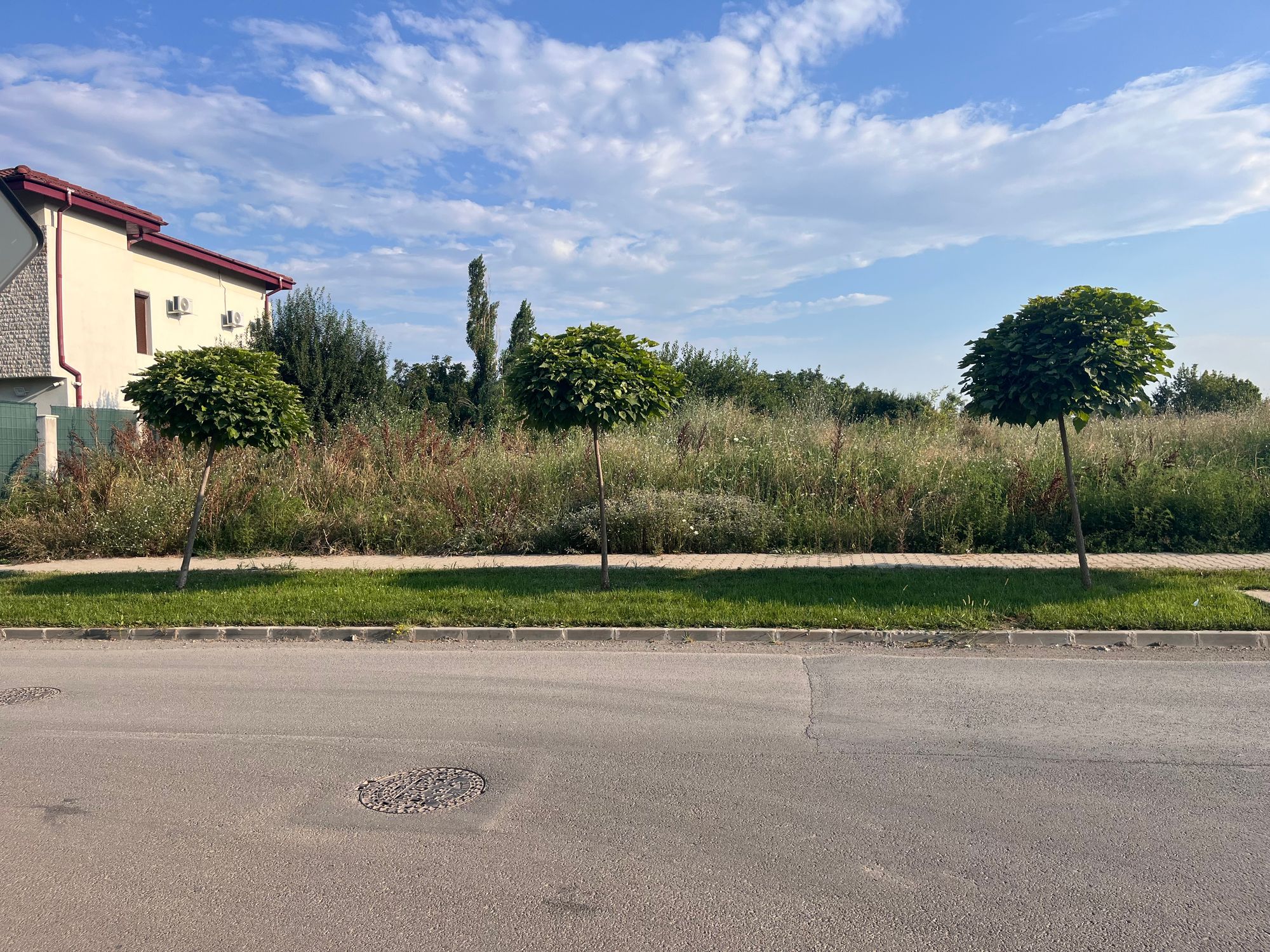 Ambrozie in Bd. Mircea Veroiu 70, București, Municipiul București