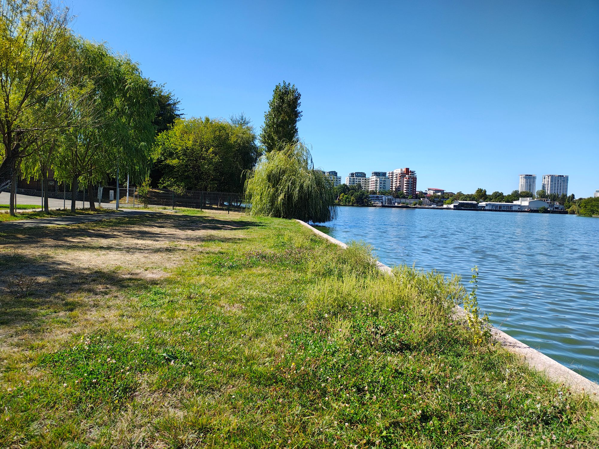 Ambrozie in Bulevardul Lacul Tei 145, București, Municipiul București - IMG_20250919_130236389_HDR.jpg