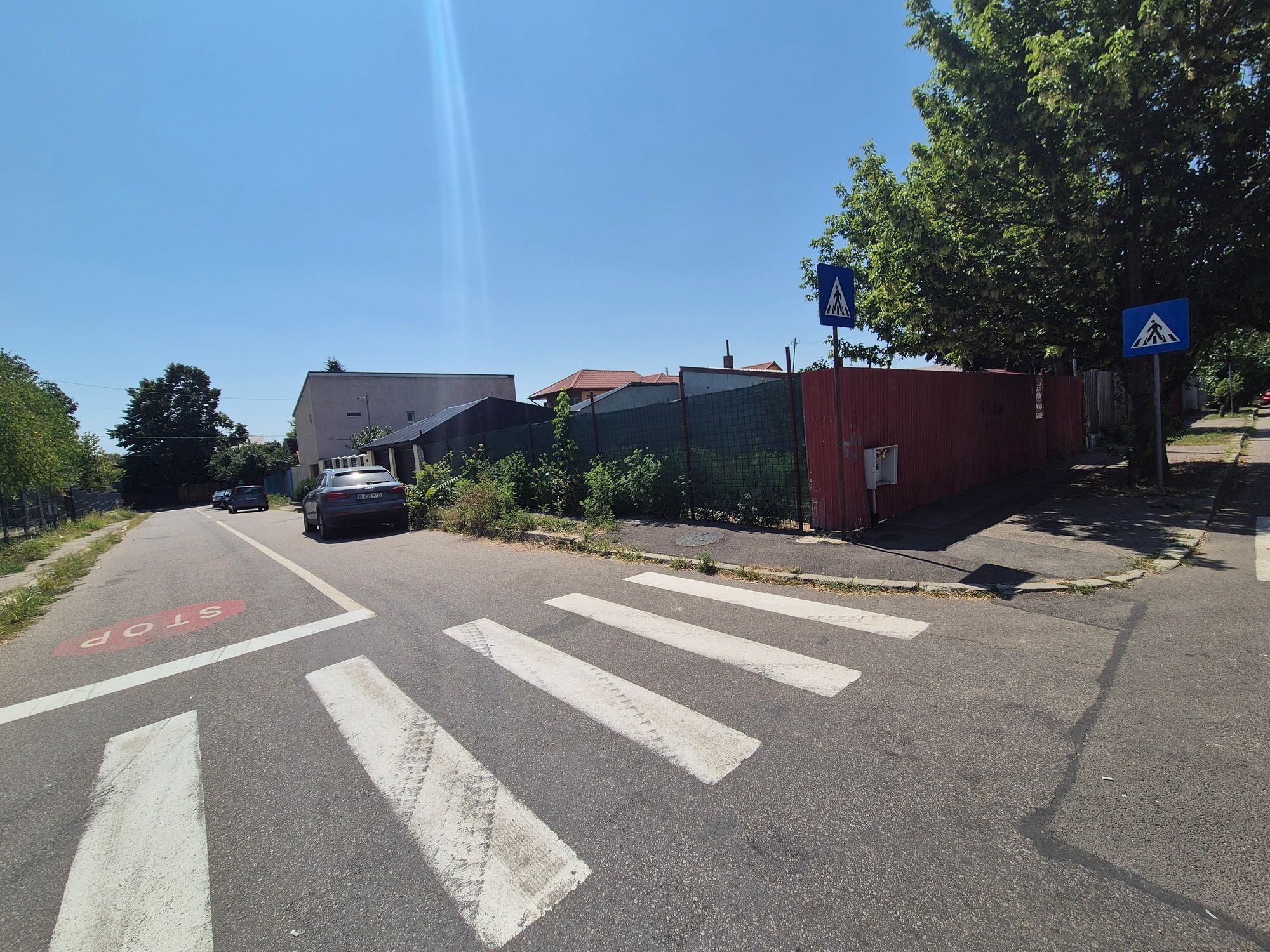 Ambrozie in Strada Aiud 38, Mogoșoaia, Municipiul București, București