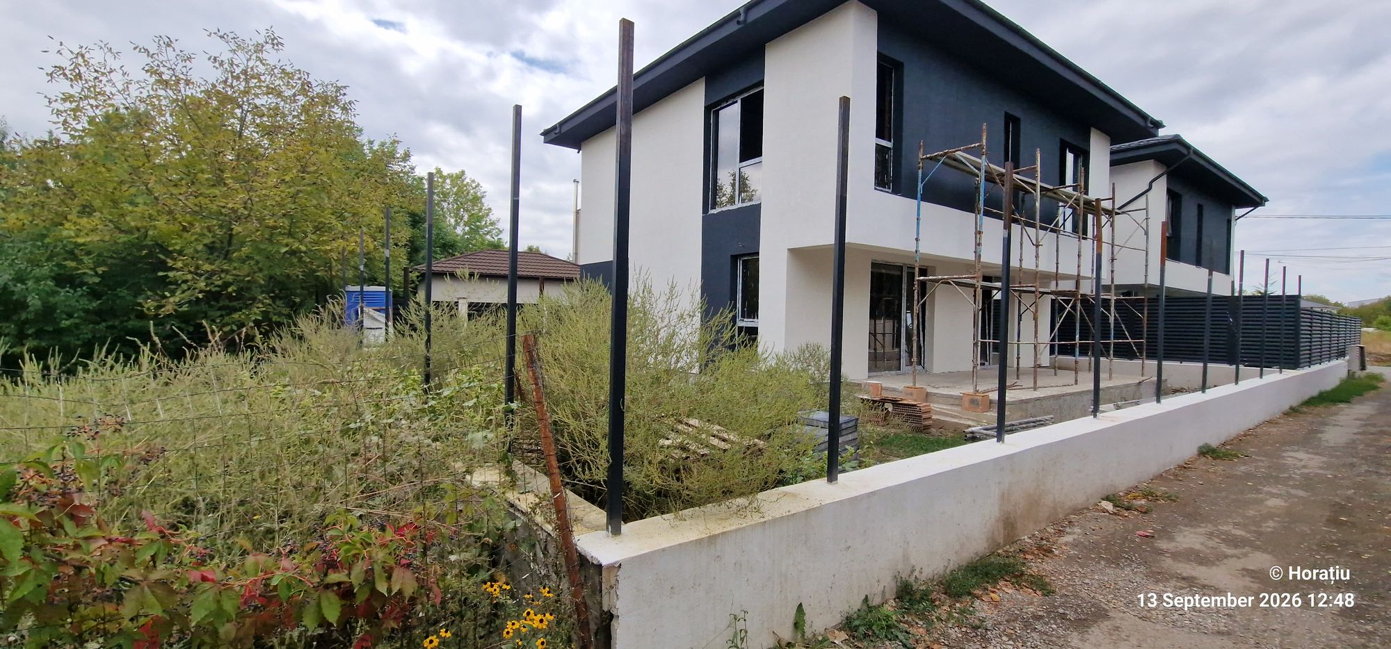 Ambrozie in Strada Traian Vuia 22 (servitutea care duce către Carpaților nr.9), Otopeni, Județul Ilfov - 20260913_124836.jpg