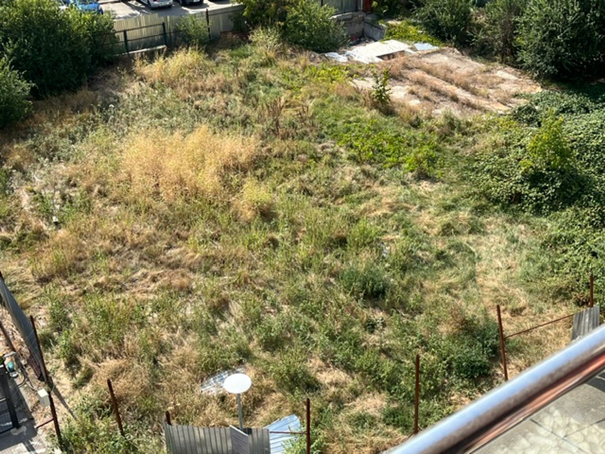 Ambrozie in Strada Telega 6, București, Municipiul București