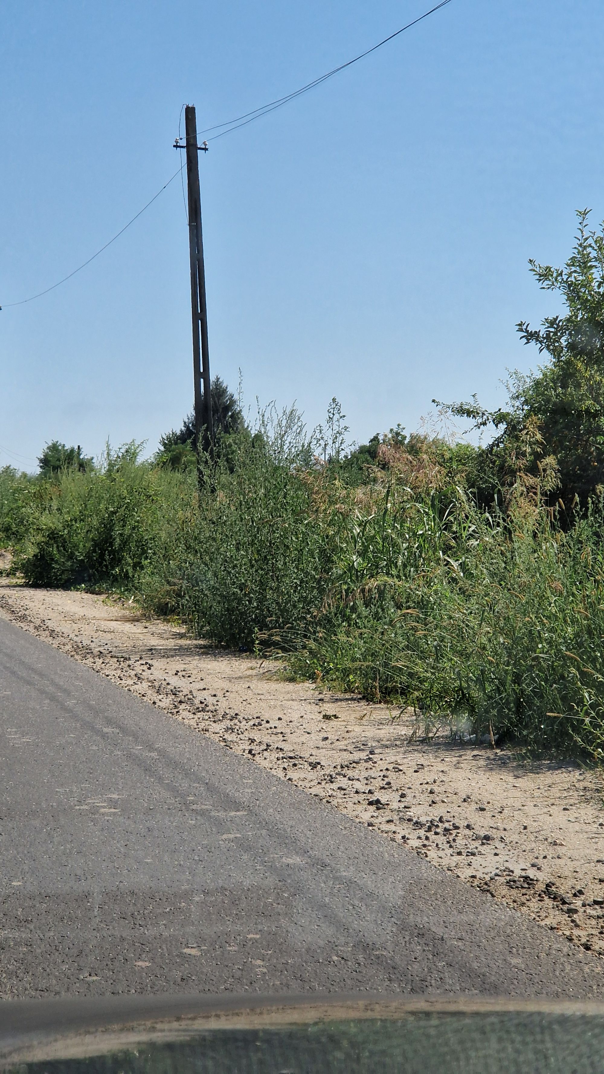 Ambrozie in Cochinești, Comuna Stolnici, Județul Argeș