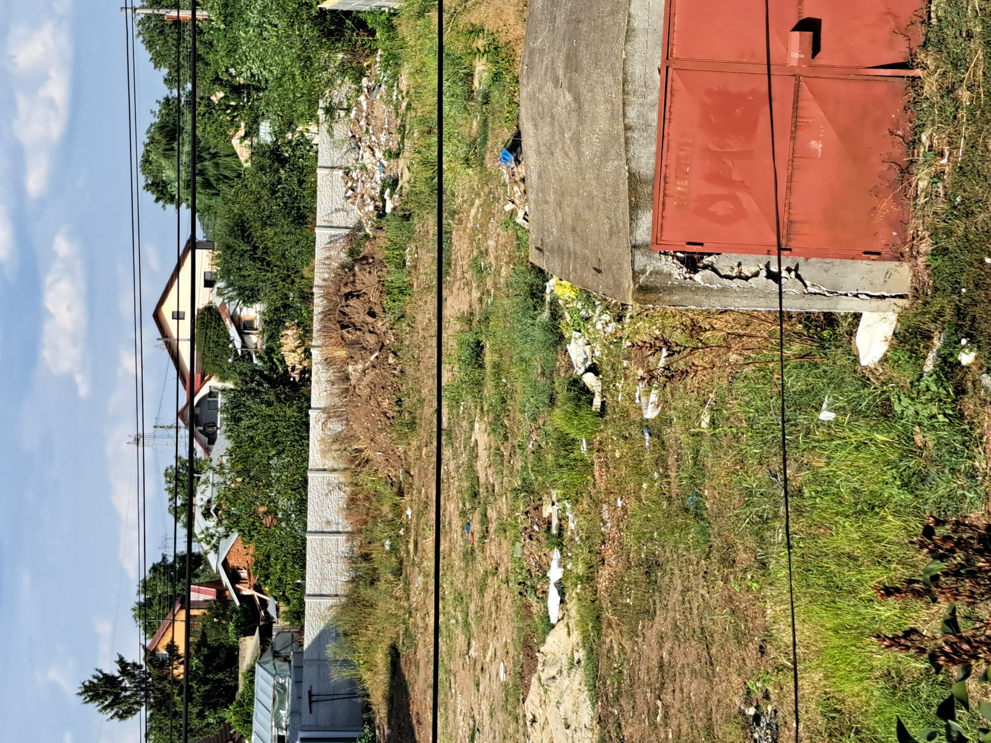 Ambrozie in Strada Lacului 41, Ciorogârla, Comuna Ciorogârla, Județul Ilfov - 20230901_164858.jpg