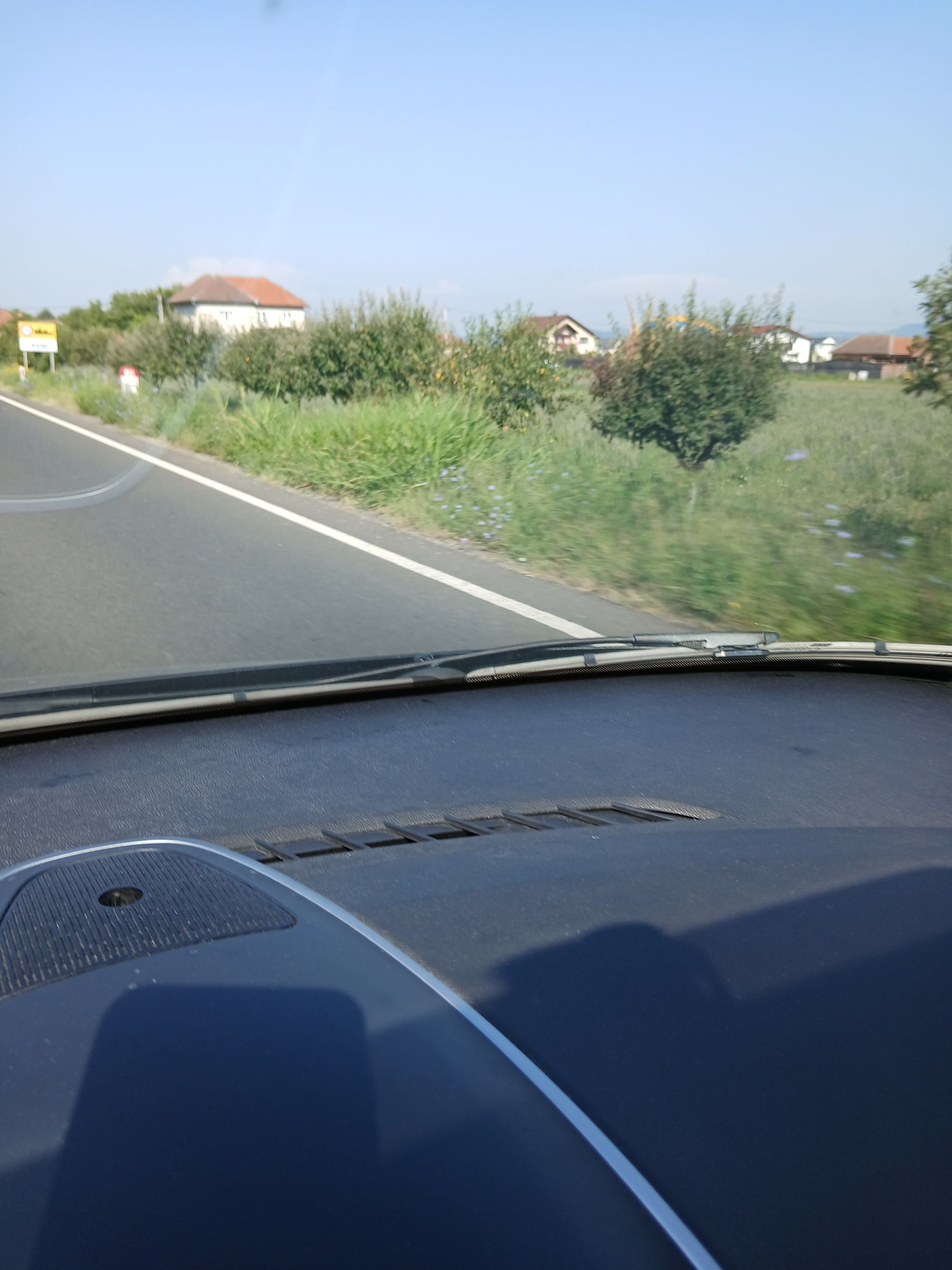 Ambrozie in Leșnic, Comuna Vețel, Județul Hunedoara - 20250817_102701.jpg