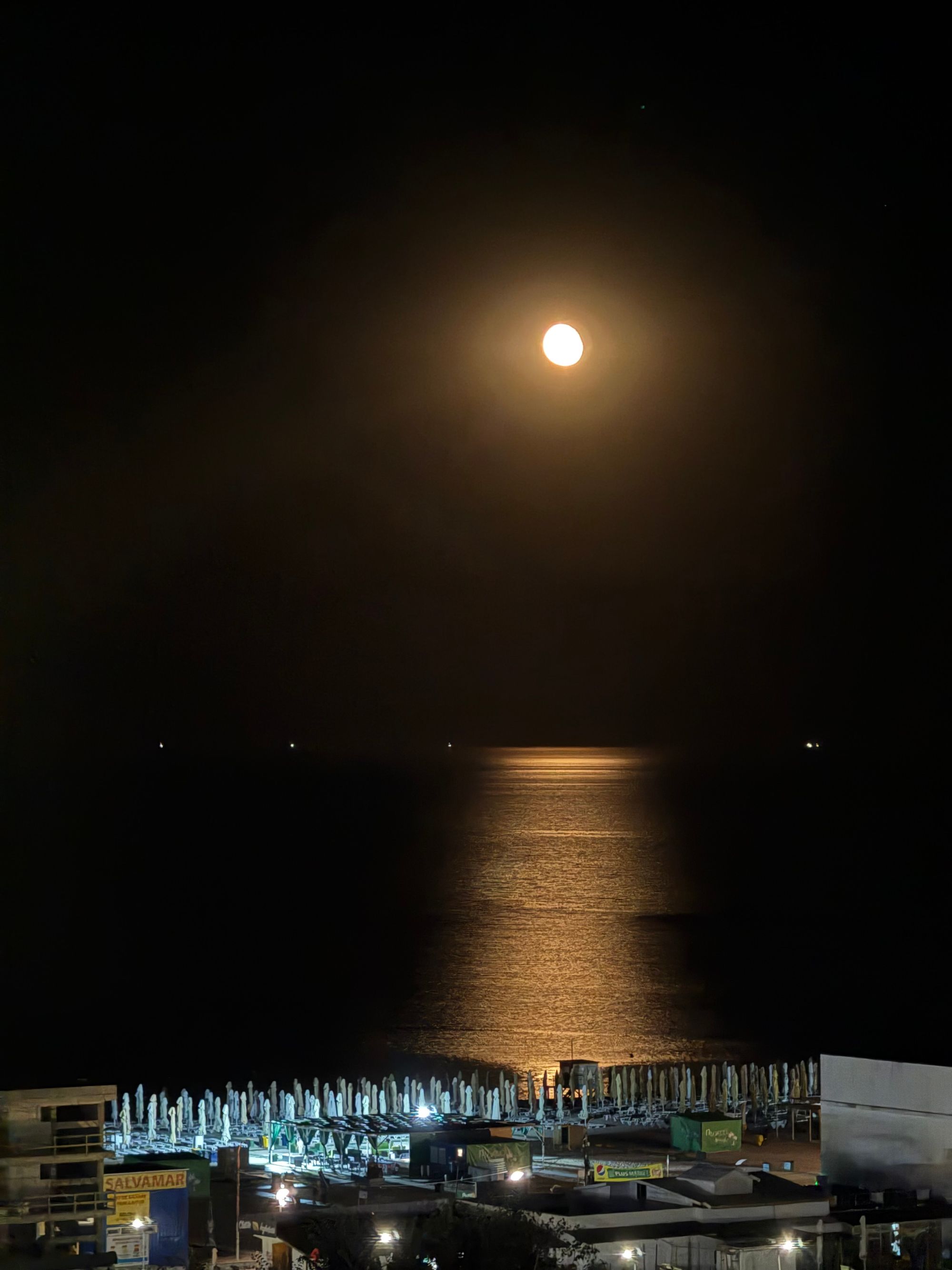 Ambrozie in Str. Lămâiței B1, Cihei, Comuna Sânmartin, Județul Bihor - IMG_1718.jpeg