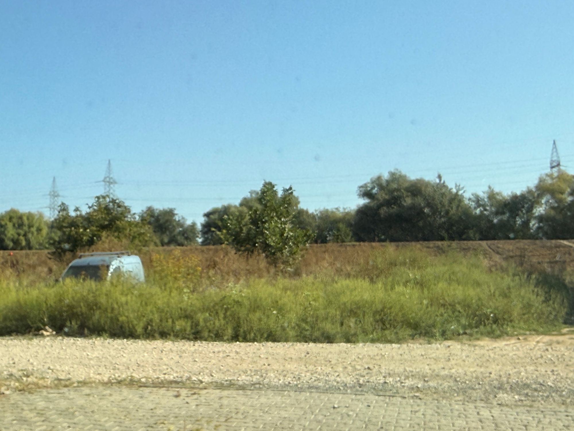 Ambrozie in Strada După Grădini 20, Alba Iulia, Municipiu Alba Iulia, Județul Alba