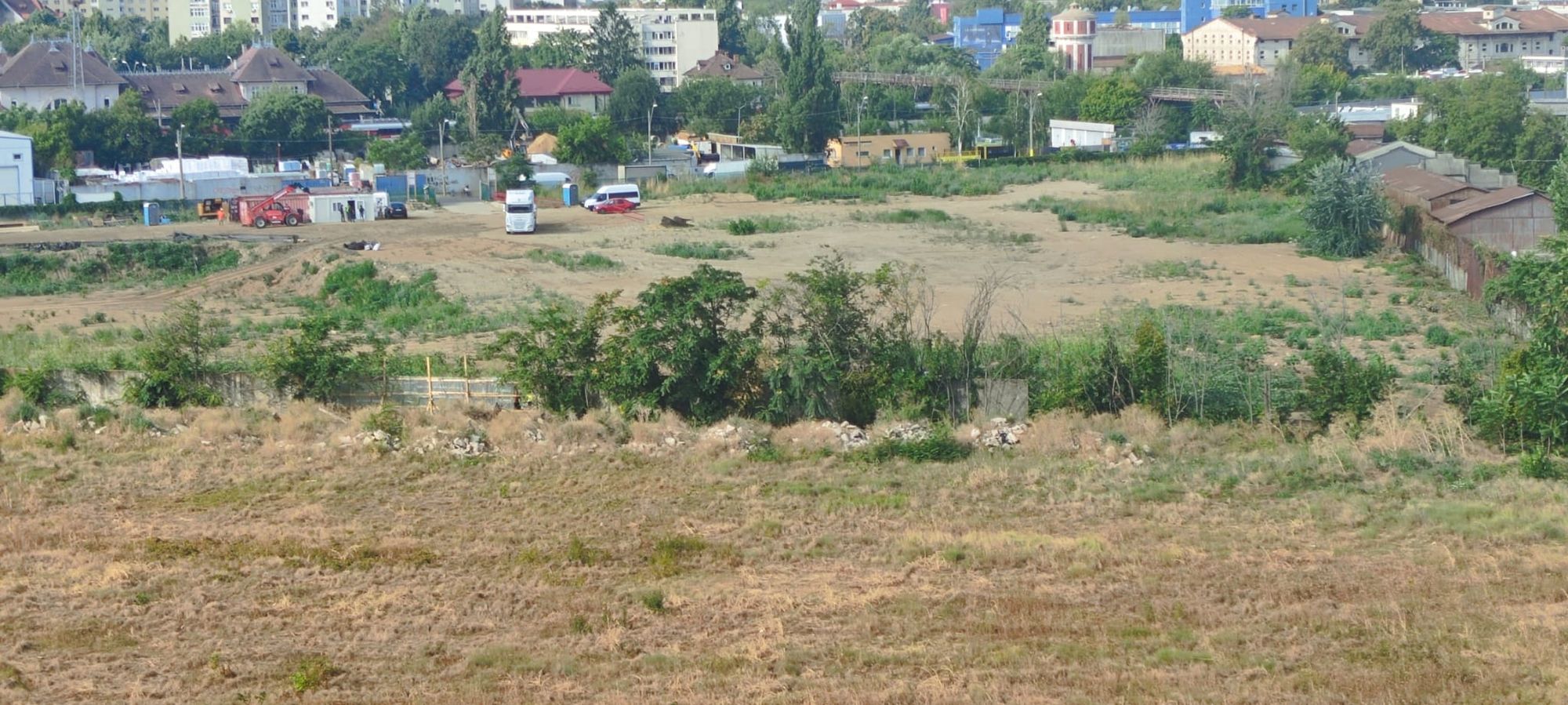 Ambrozie in Strada Dumitru Slugeru, București, Municipiul București - 1000342139.jpg