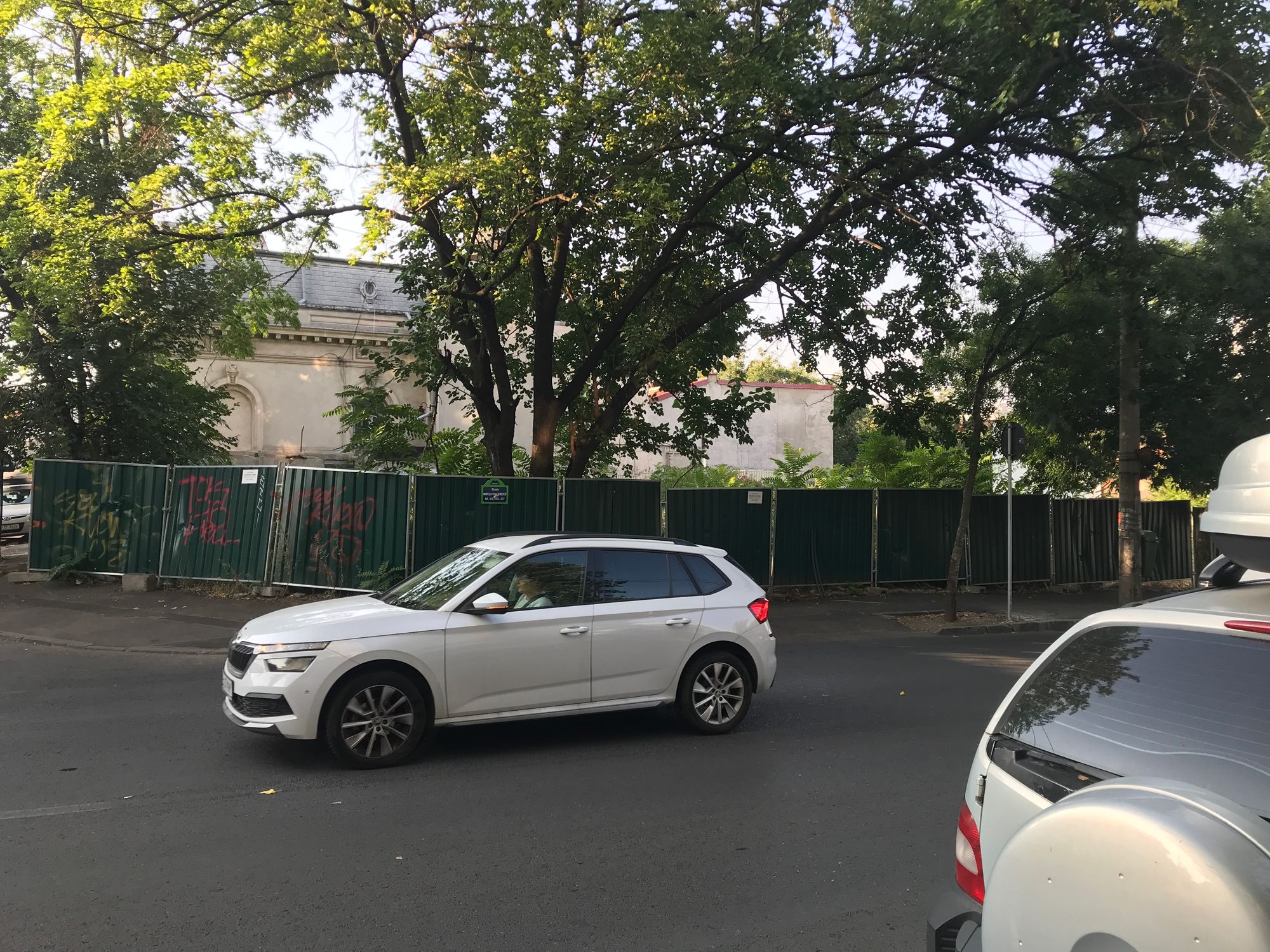 Ambrozie in Strada Mircea Vulcănescu 103, București, Municipiul București - BDF2CB54-EDF7-42FB-B532-FC8CF24B77D2.jpeg