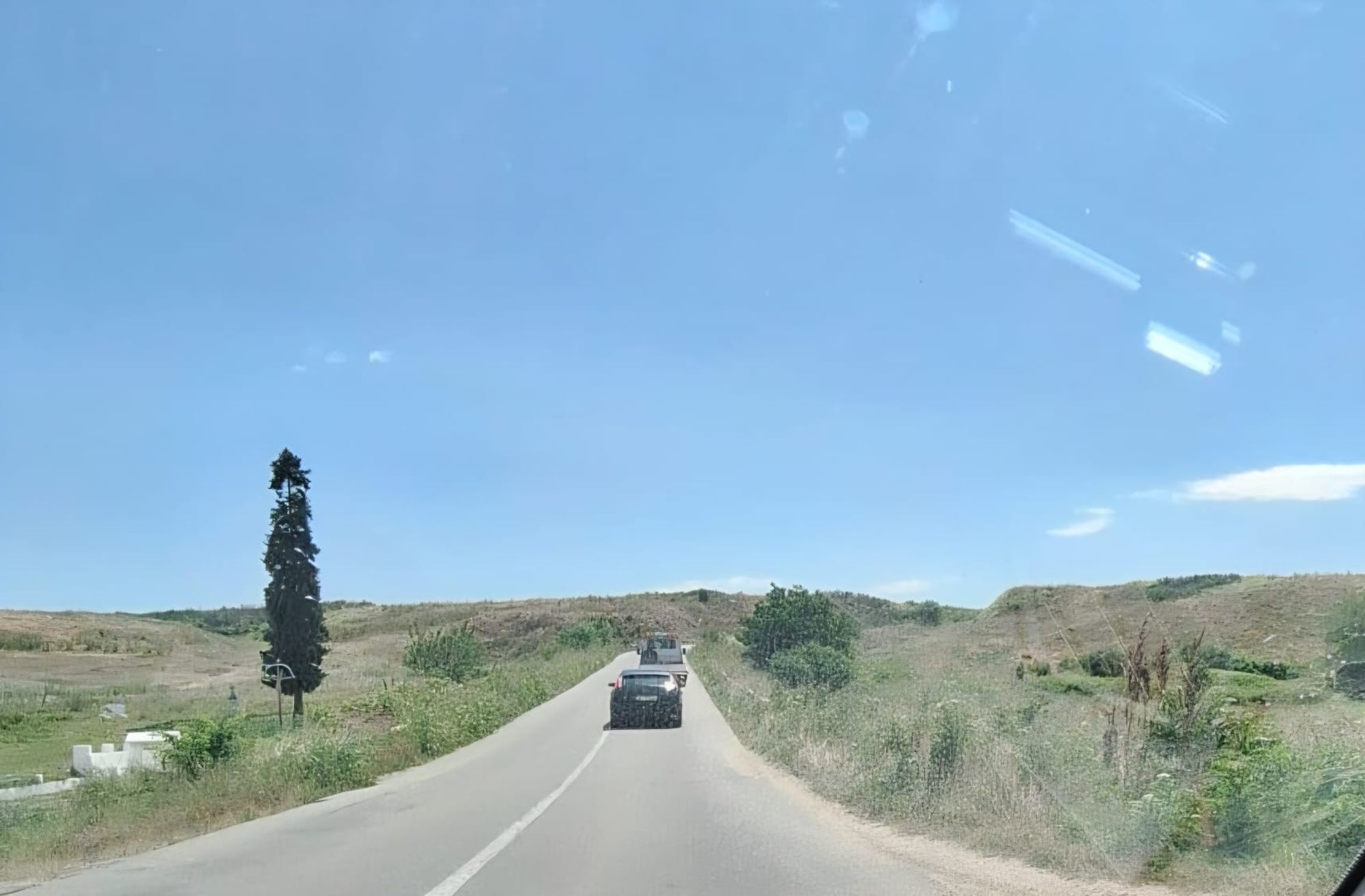 Ambrozie in DJ644 62, Brăneț, Comuna Bârza, Județul Olt
