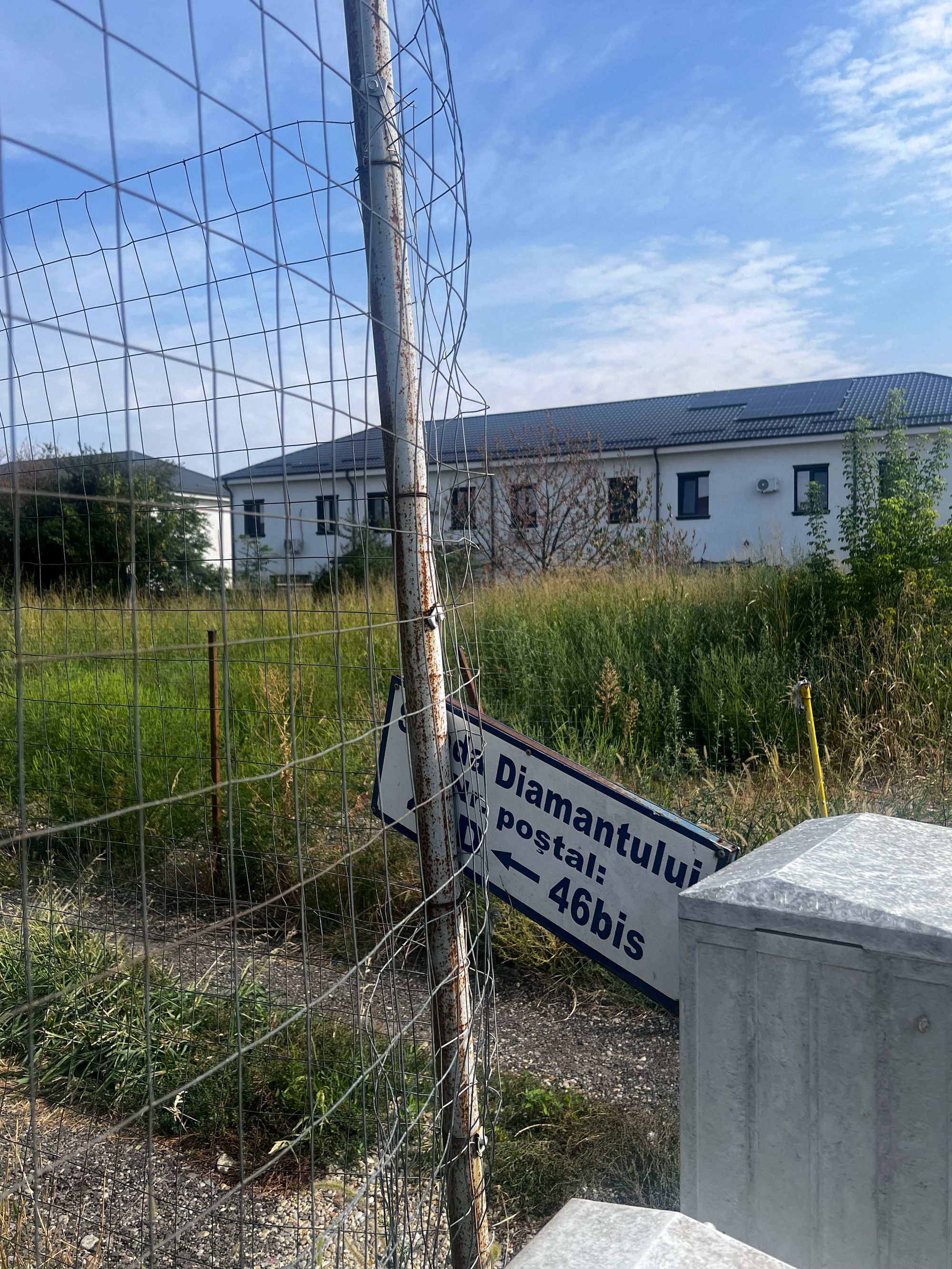 Ambrozie in Strada Diamantului 8, Bragadiru, Oraș Bragadiru, Județul Ilfov