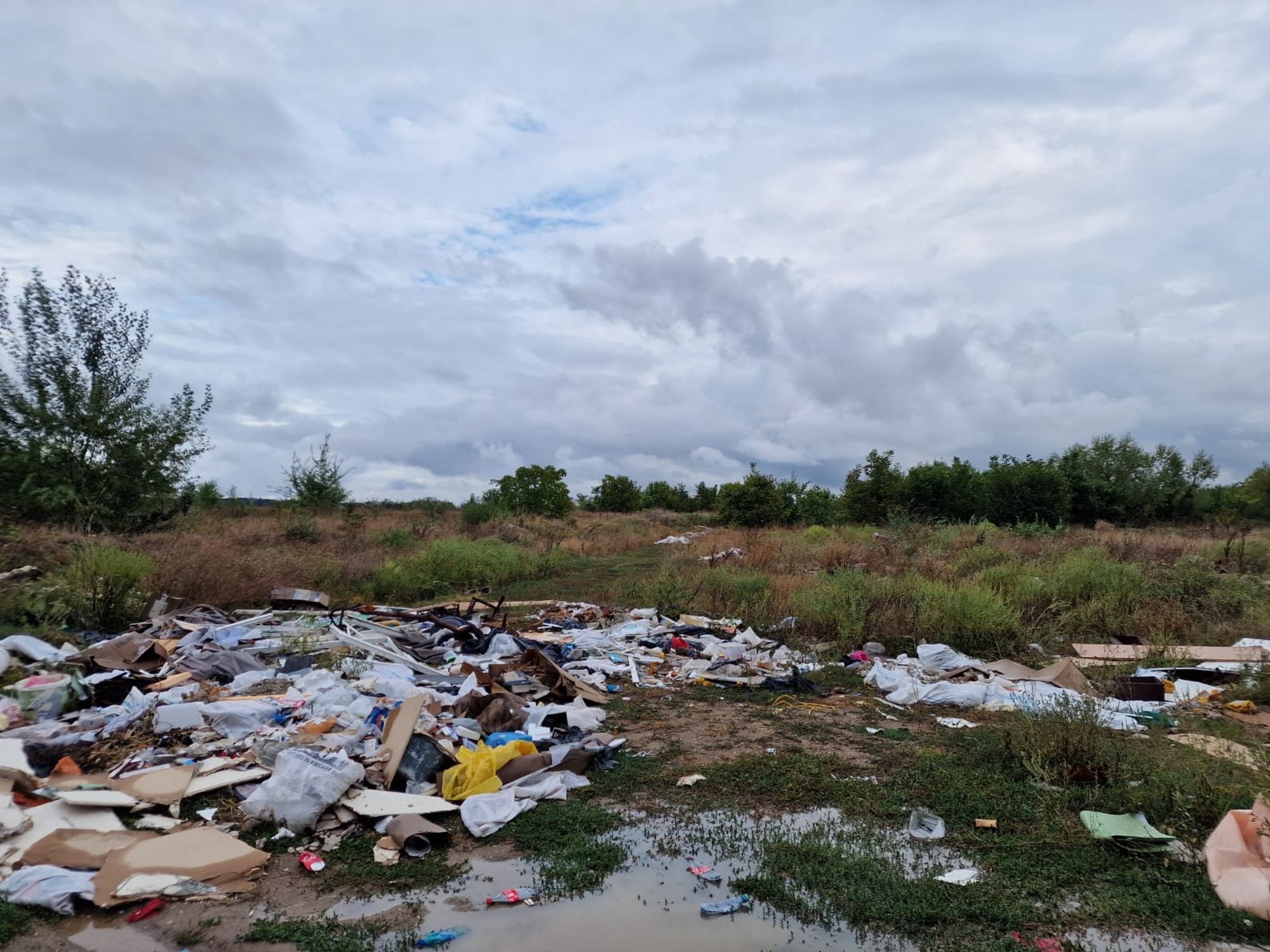 Ambrozie in București, Municipiul București - b66ff1d3-b83e-4f3c-a4fa-2c3cec7947f5.jpeg