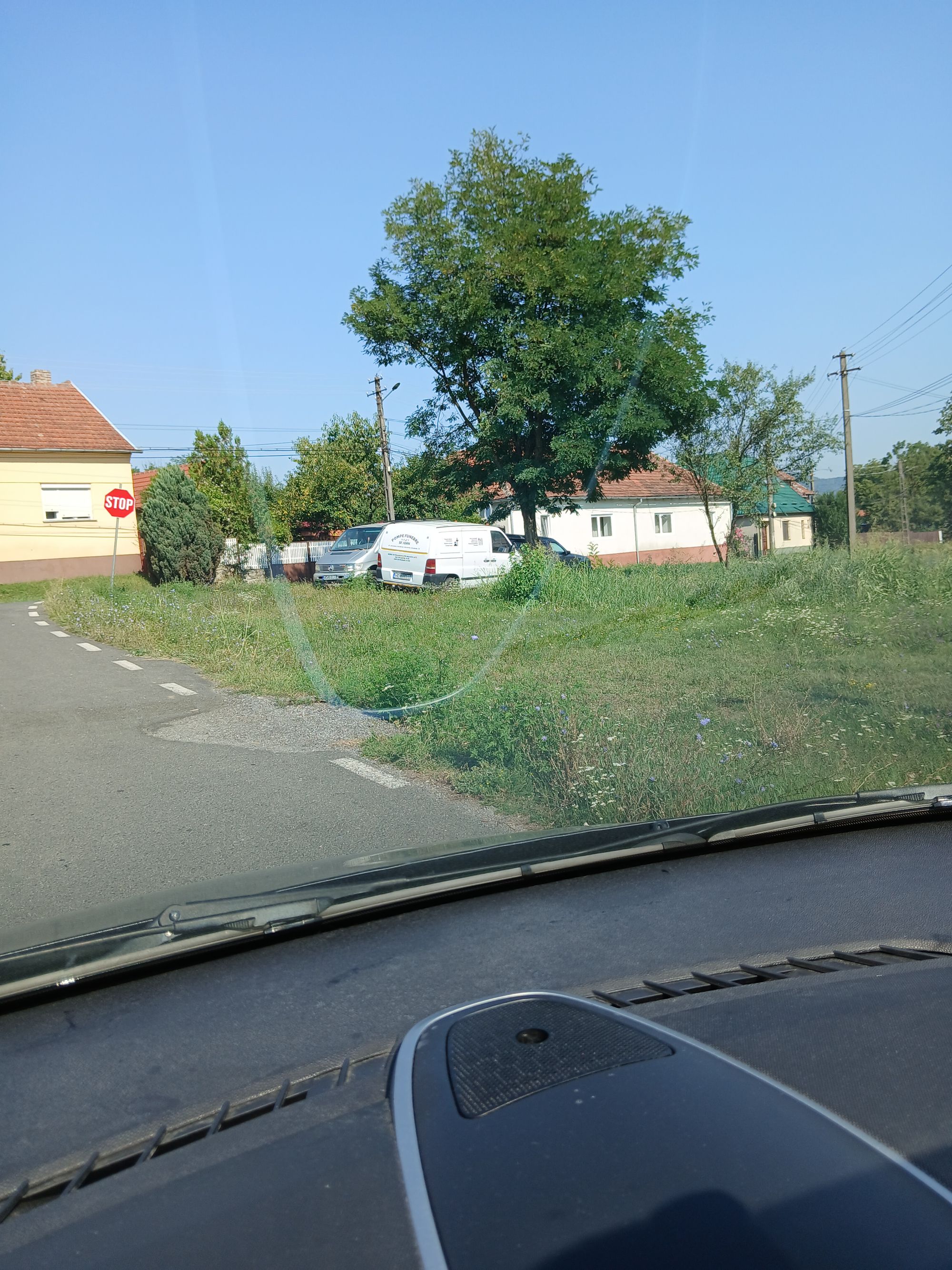 Ambrozie in DJ688 13, Dobra, Comuna Dobra, Județul Hunedoara - 20250817_104346.jpg