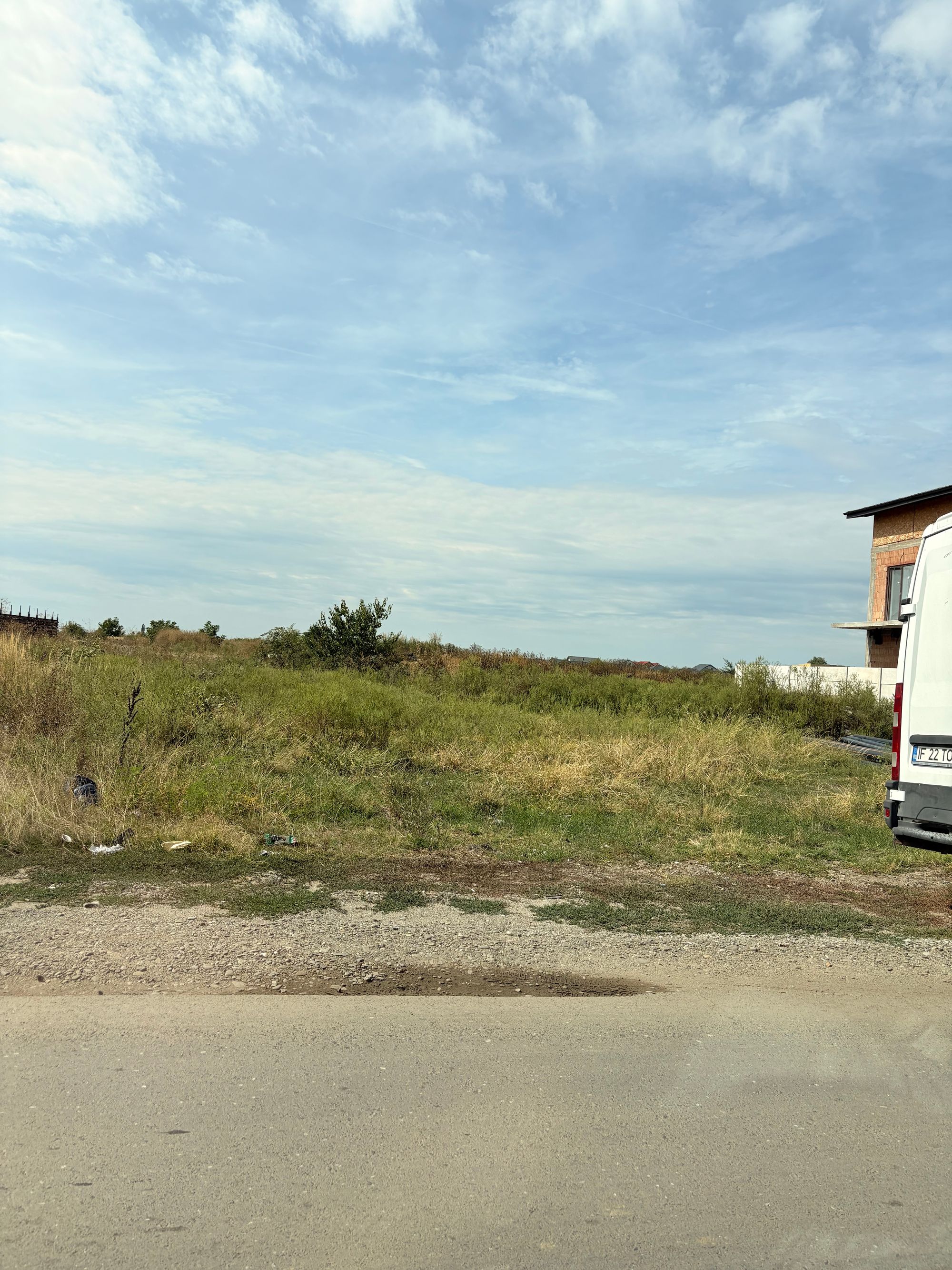 Ambrozie in Strada Dunării 27, Măgurele, Oraș Măgurele, Județul Ilfov