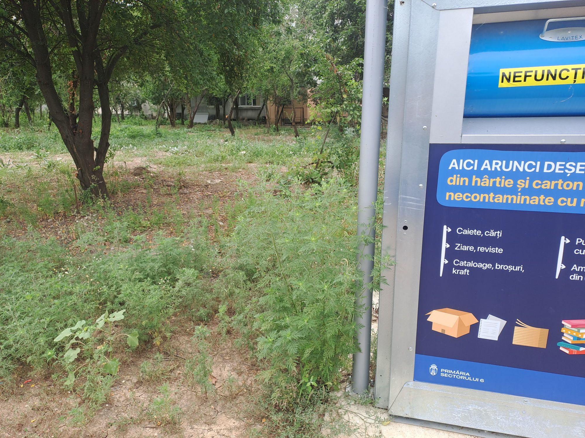 Ambrozie in Strada Piscul Crăsani 12, București, Municipiul București