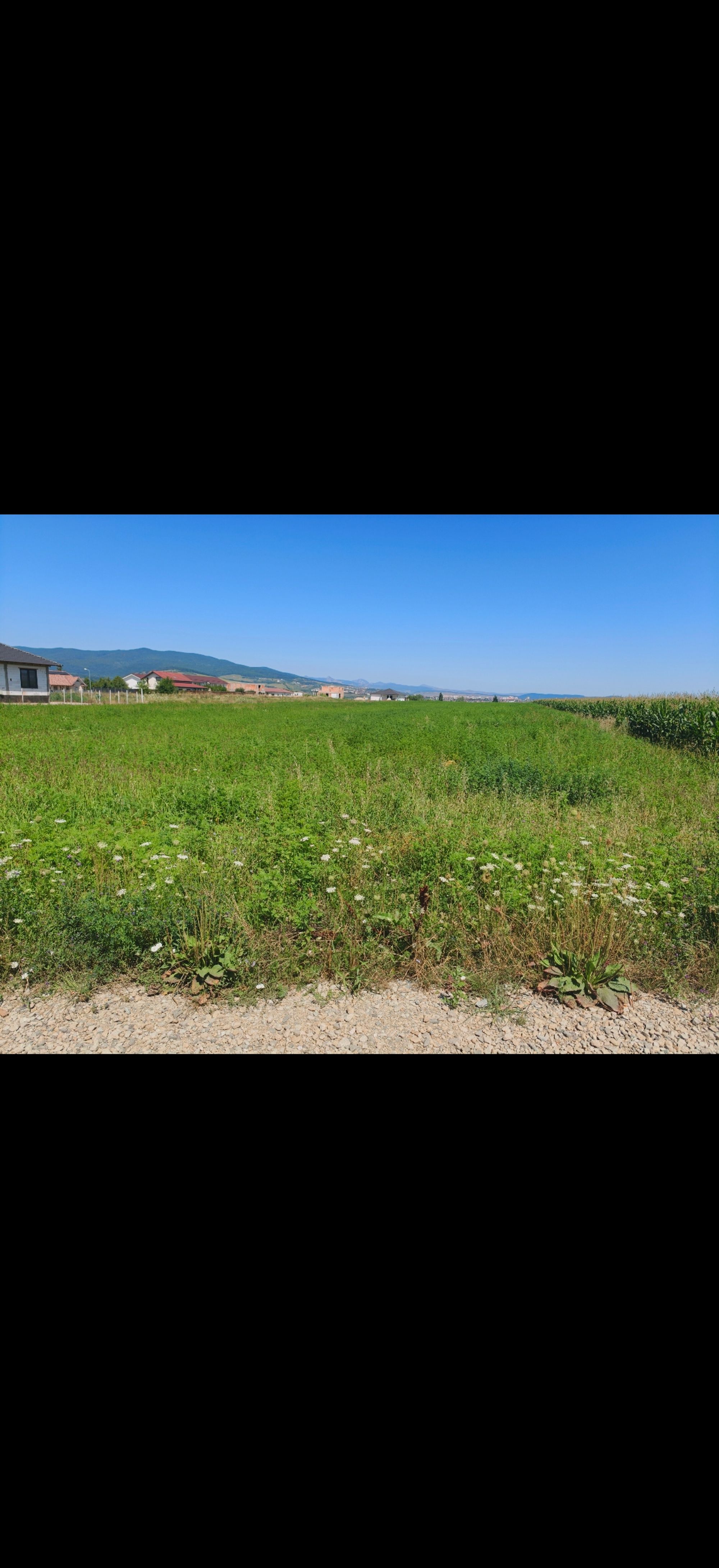 Ambrozie in Str. Dr. Ioan Dragomir 5, Alba Iulia, Municipiu Alba Iulia, Județul Alba