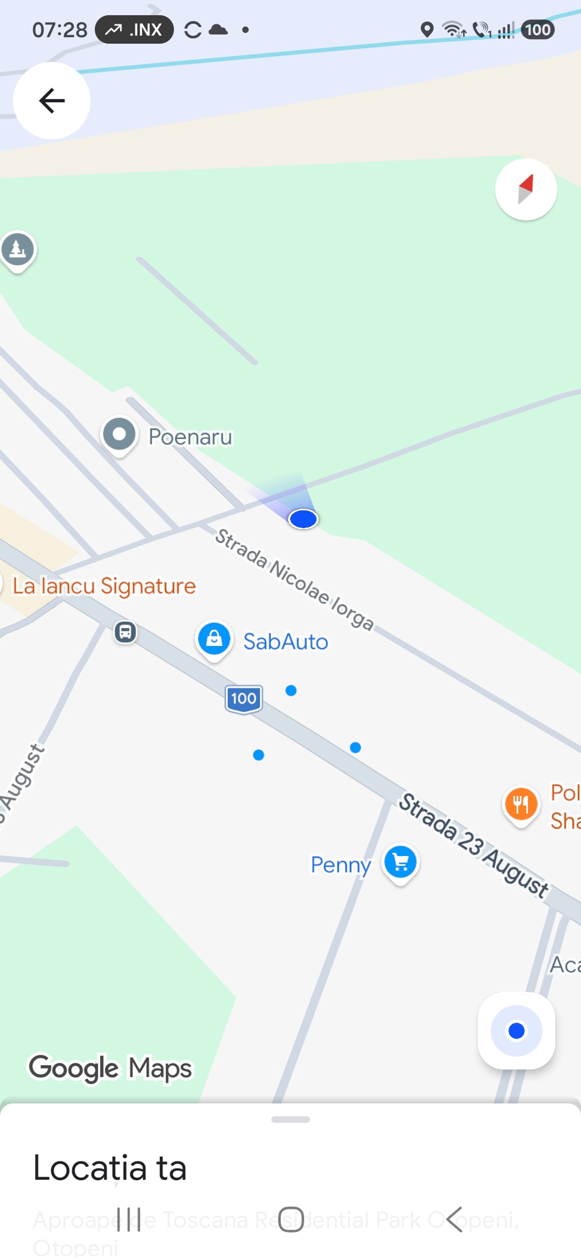 Ambrozie marcată de Radu Razvan în Otopeni, Oraș Otopeni, Județul Ilfov