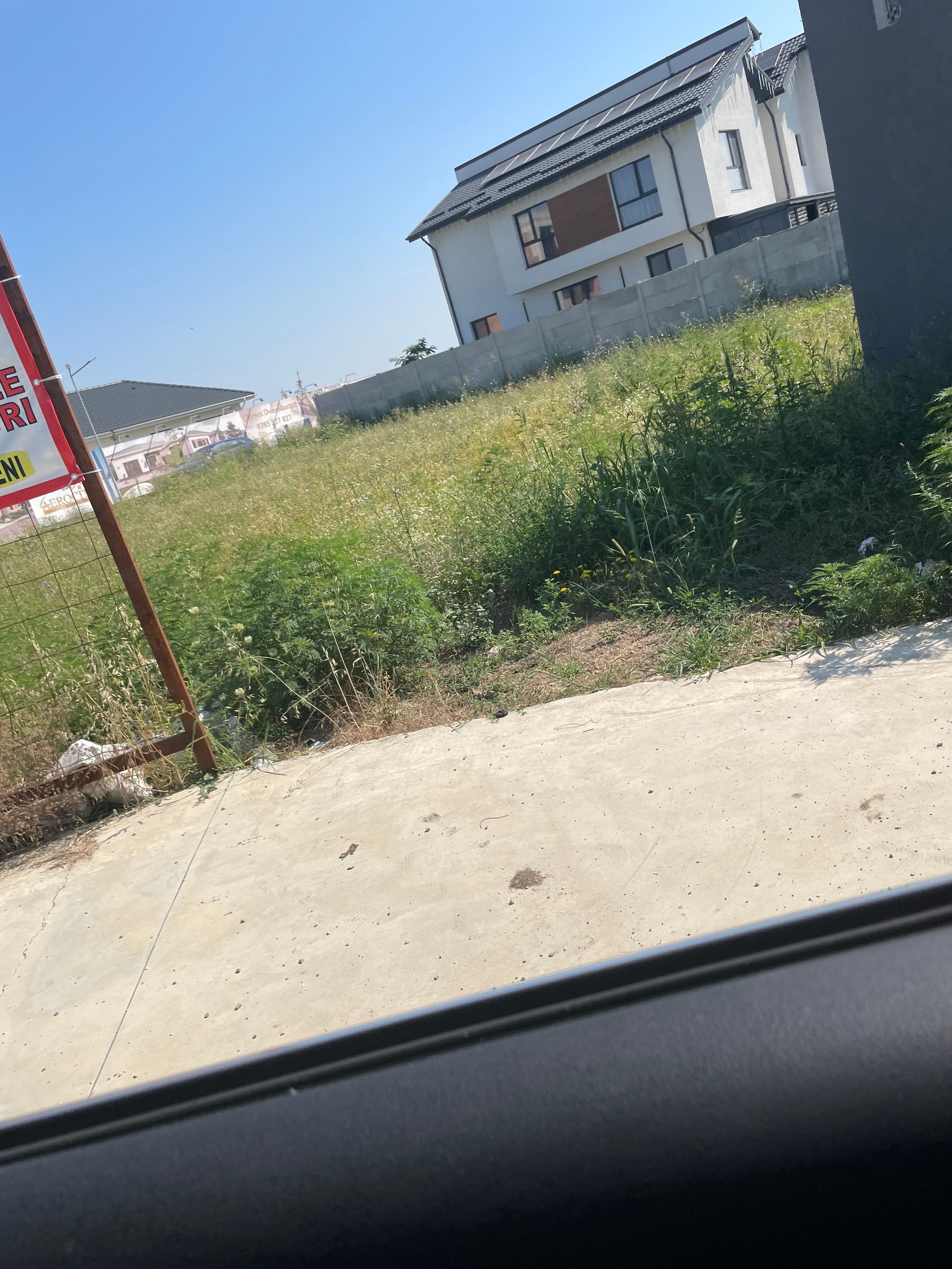 Ambrozie in Strada Randunicii 13, Tunari, Comuna Tunari, Județul Ilfov