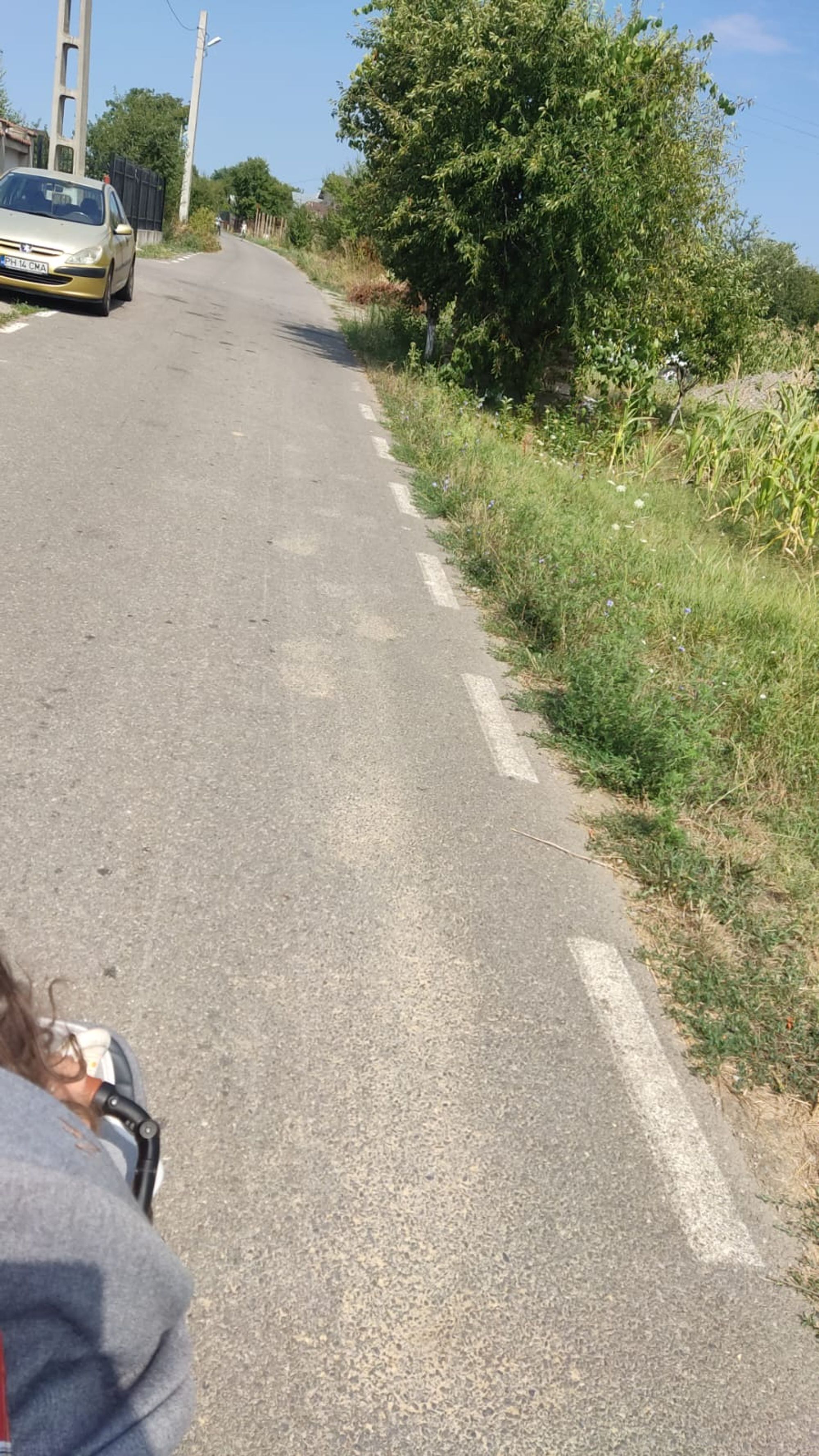 Ambrozie in Strada Gloriei 31, Târgșoru Vechi, Comuna Târgșoru Vechi, Județul Prahova - IMG-20250812-WA0036.jpg