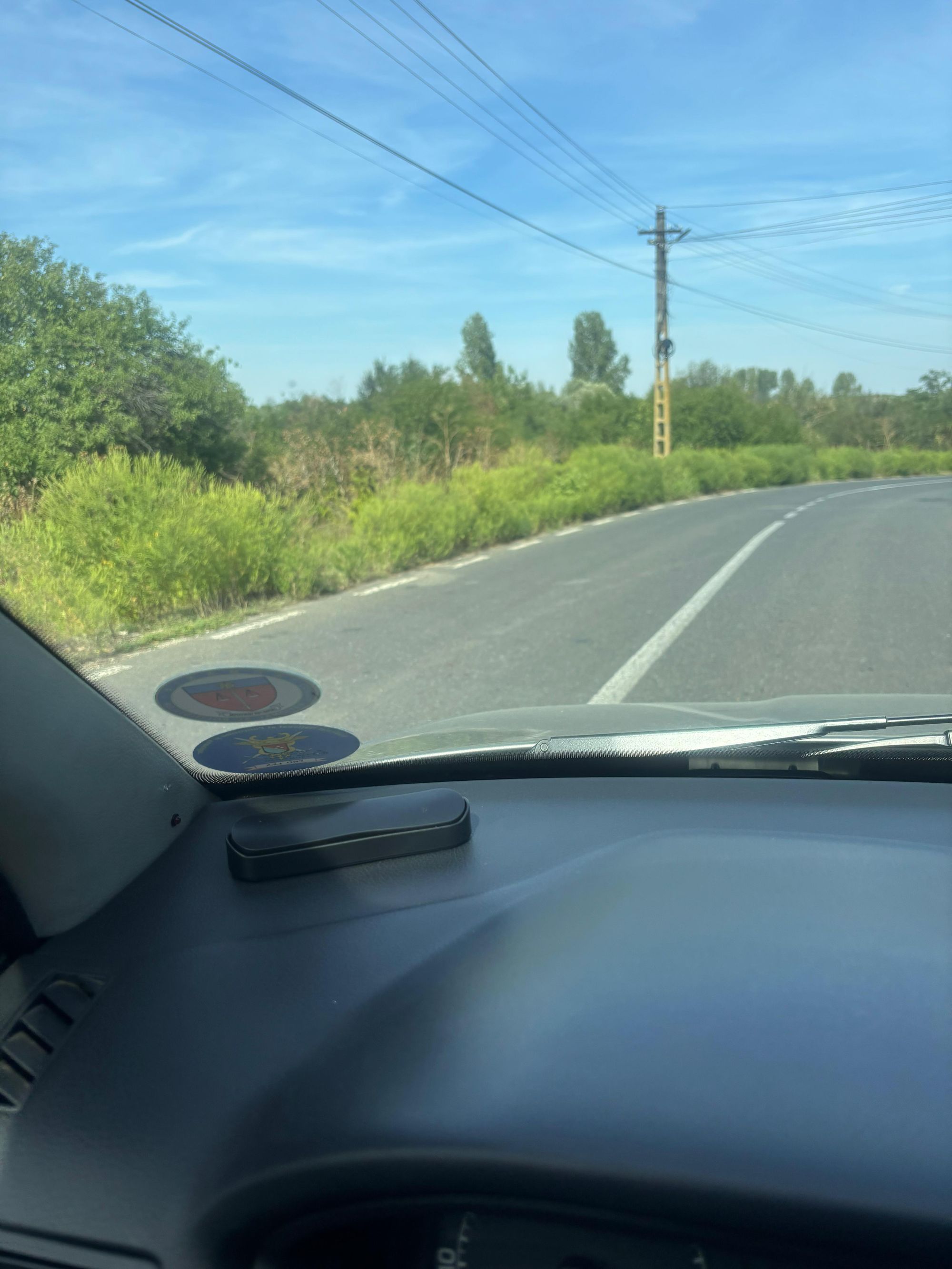 Ambrozie in DJ612 8, Cetatea, Comuna Rădoiești, Județul Teleorman - 7e527fb4-8e17-45c2-bf58-cc8a7b642566.jpeg