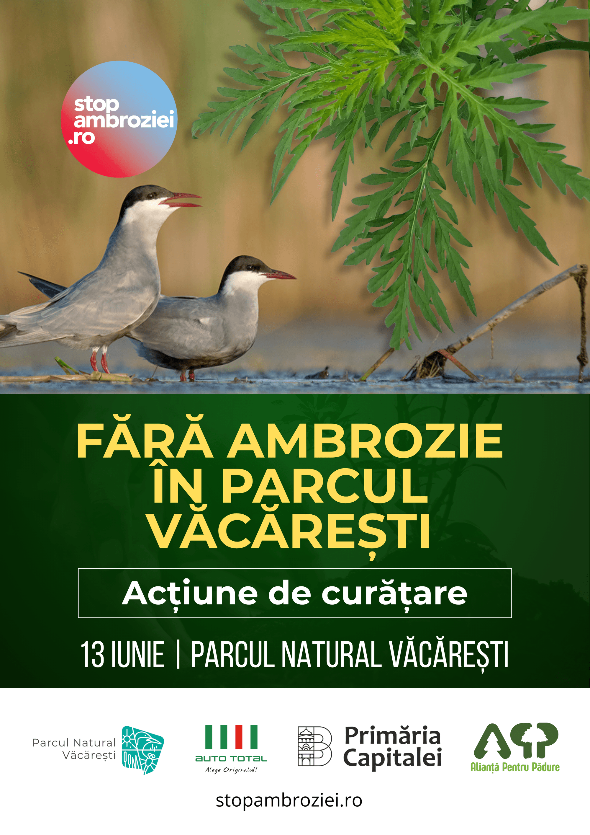 Curățăm ambrozia din Parcul Natural Văcărești