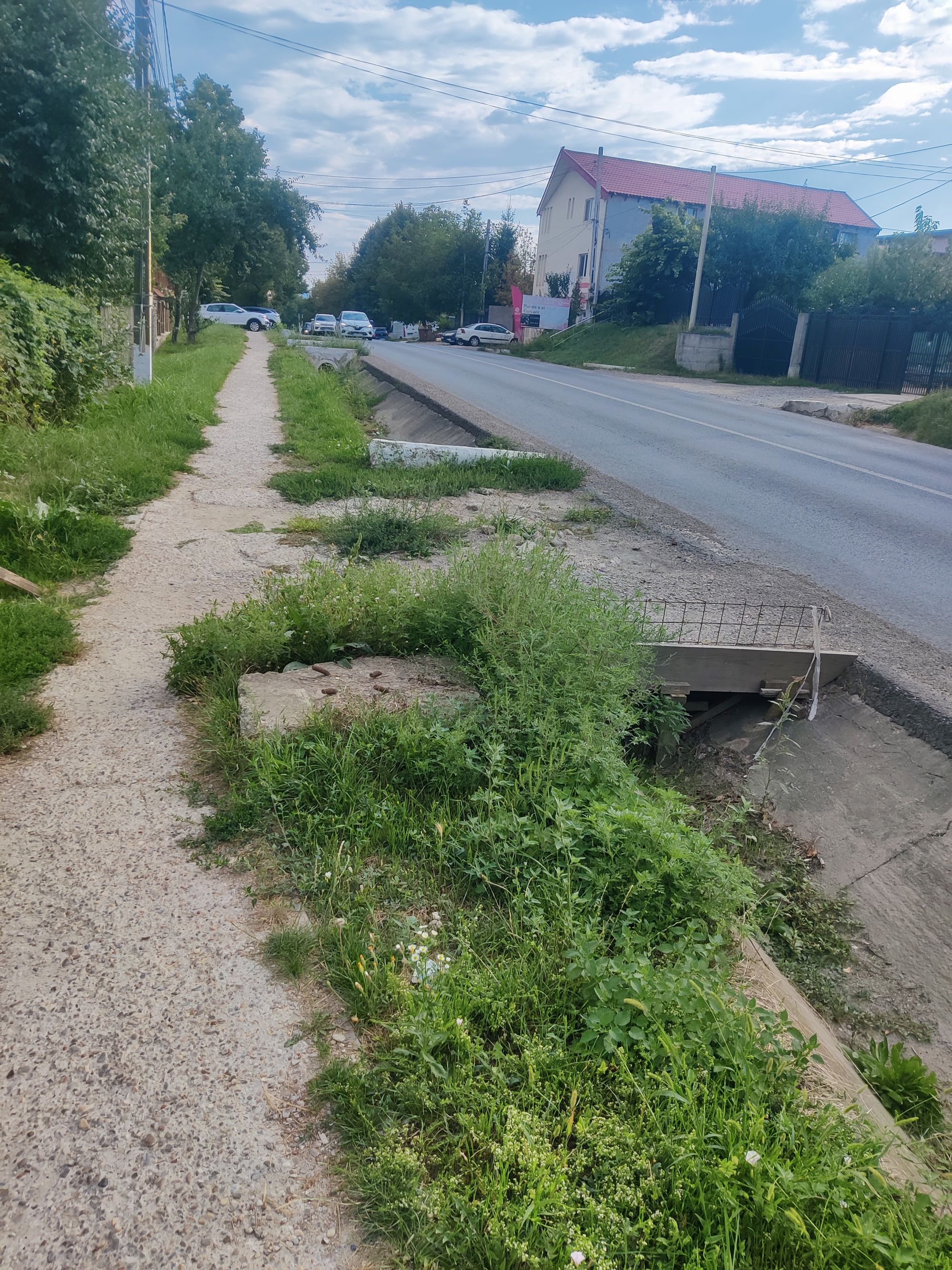 Ambrozie in DJ248 39, Lunca Cetățuii, Comuna Ciurea, Județul Iași