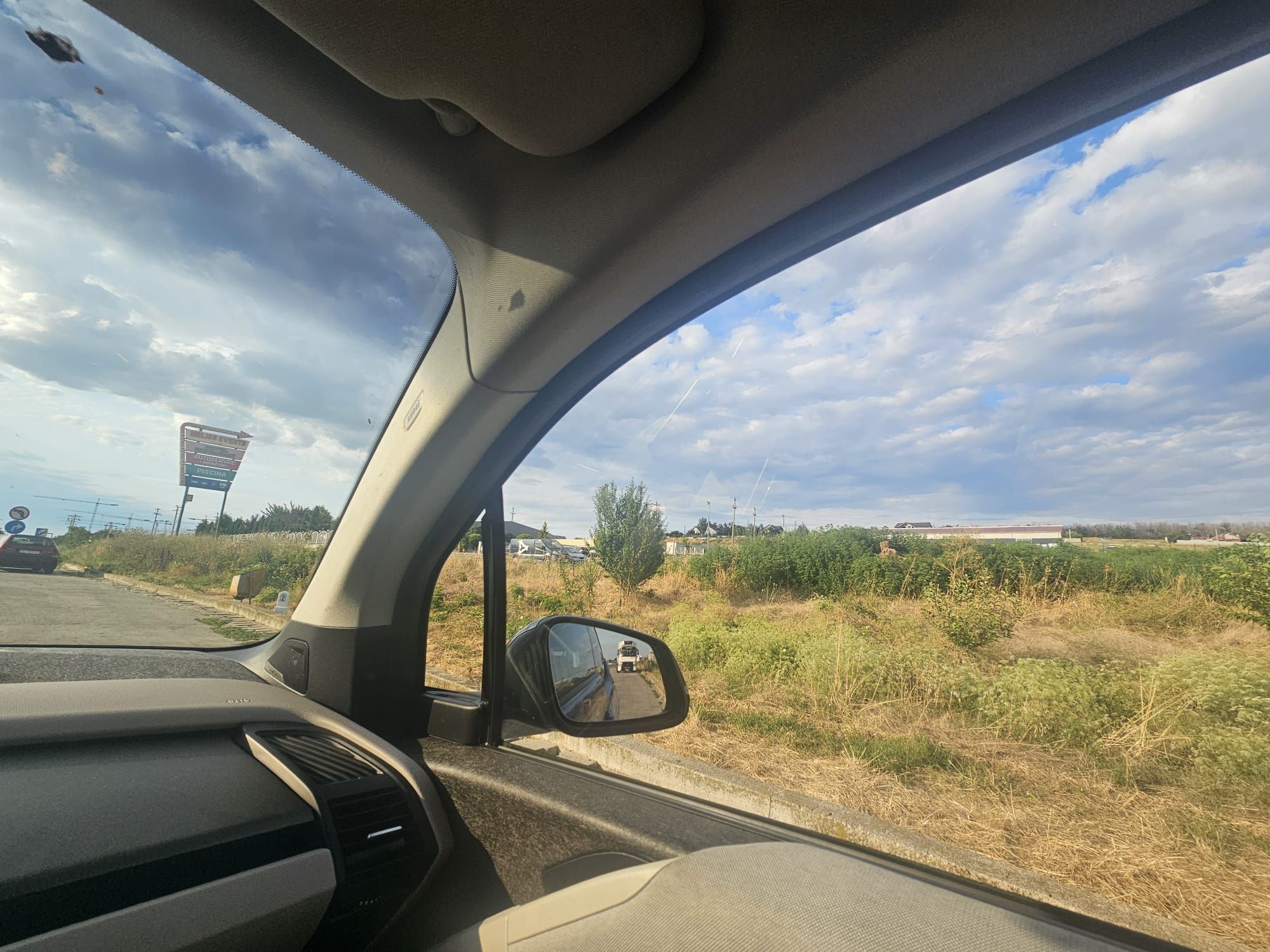 Ambrozie in Strada Plopului 540, Craiova, Municipiu Craiova, Județul Dolj