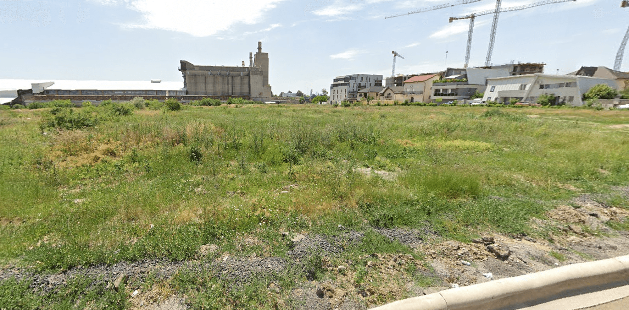 Ambrozie in Drumul Gura Crivățului nr.60, București, Municipiul București - Untitled.png