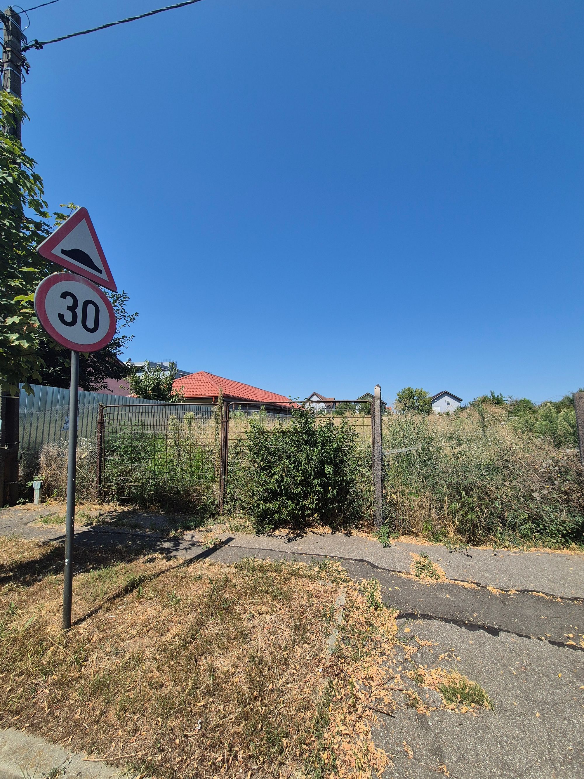 Ambrozie in Strada Aiud 26, Mogoșoaia, Municipiul București, București