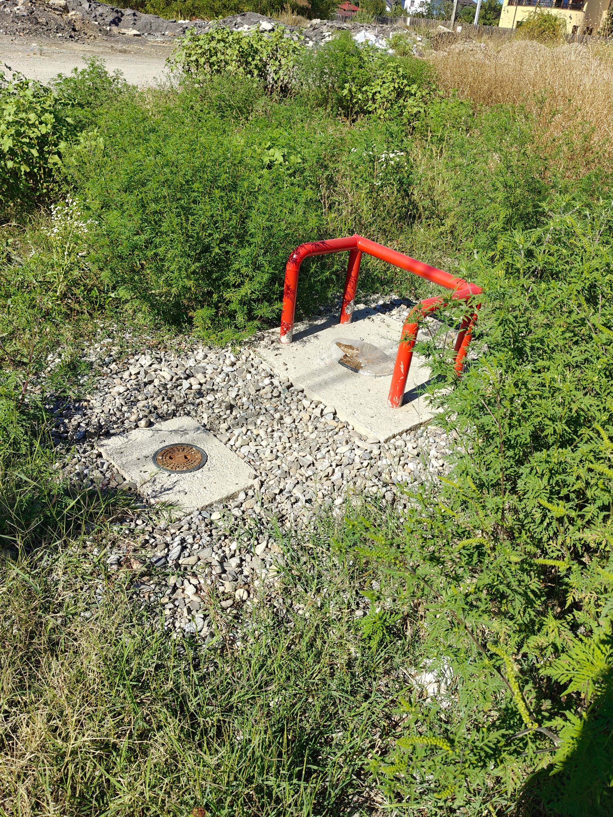 Ambrozie marcată de Ioana Veronica în Strada Mierlei 28, Ploiești, Municipiu Ploiești, Județul Prahova