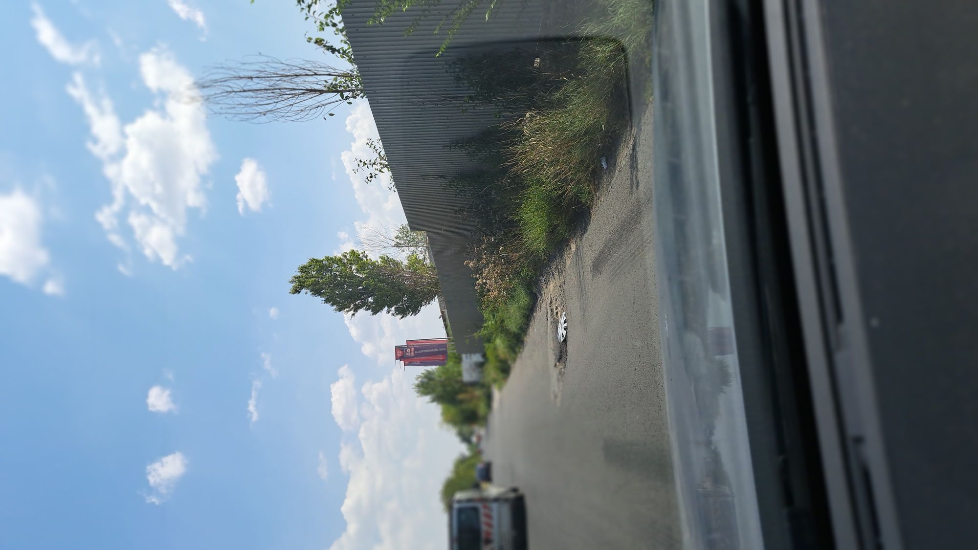 Ambrozie in Șoseaua Ștefan cel Mare 39, București, Municipiul București - 20230826_124818.jpg