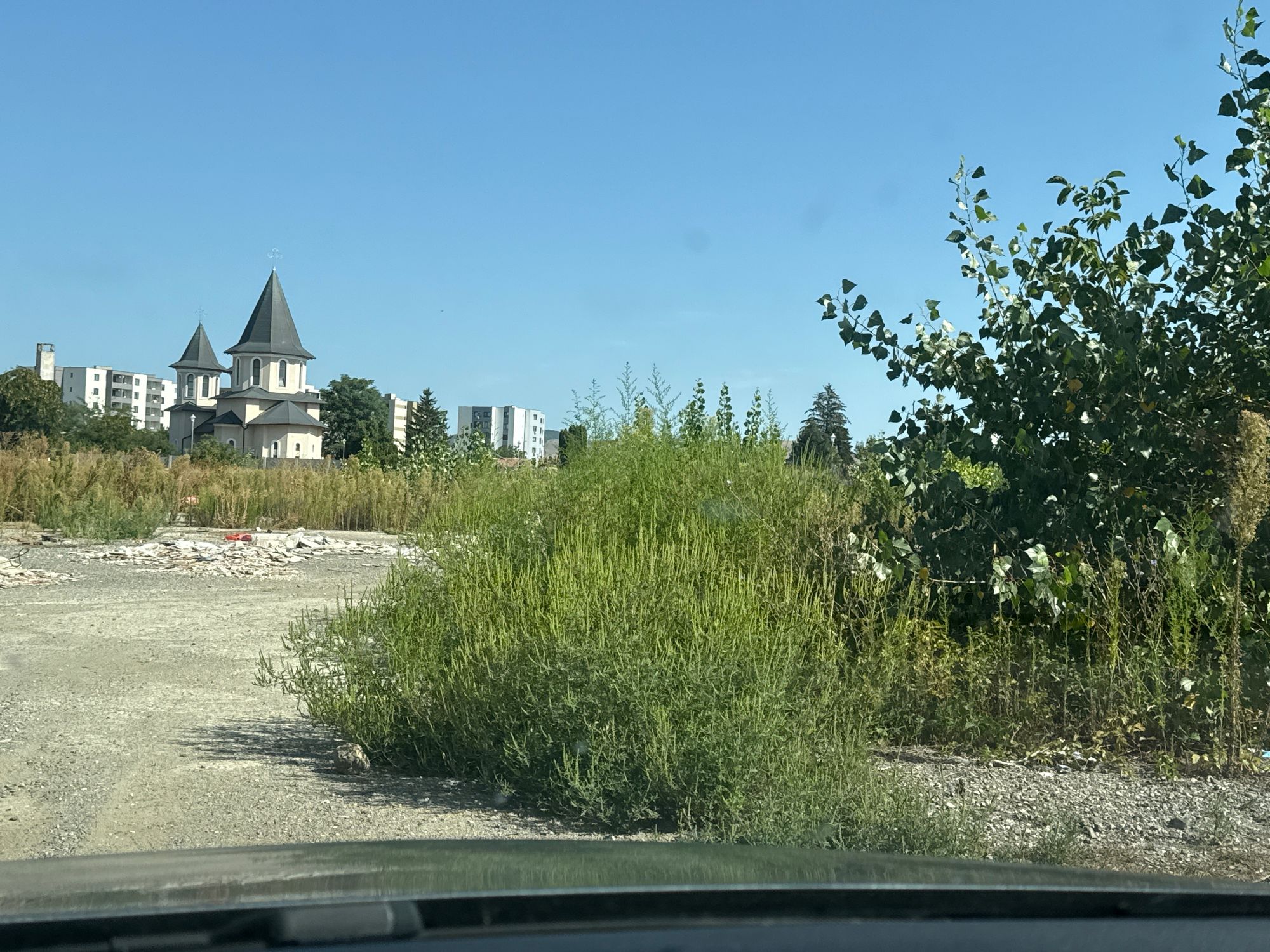 Ambrozie in Strada Târgului 12, Alba Iulia, Municipiu Alba Iulia, Județul Alba