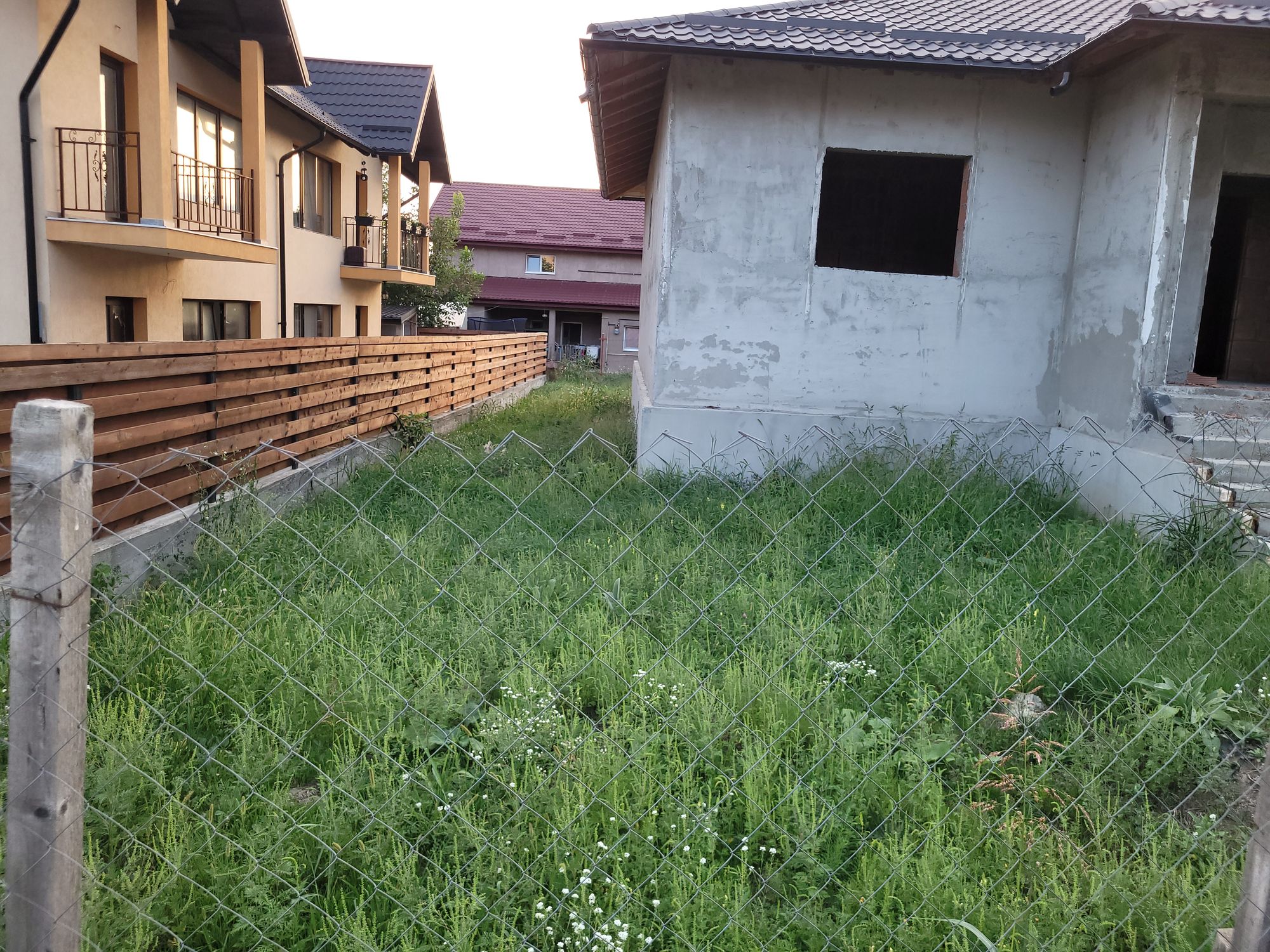 Ambrozie in Strada Ezareni 1, Valea Adâncă, Comuna Miroslava, Județul Iași - 1000014646.jpg